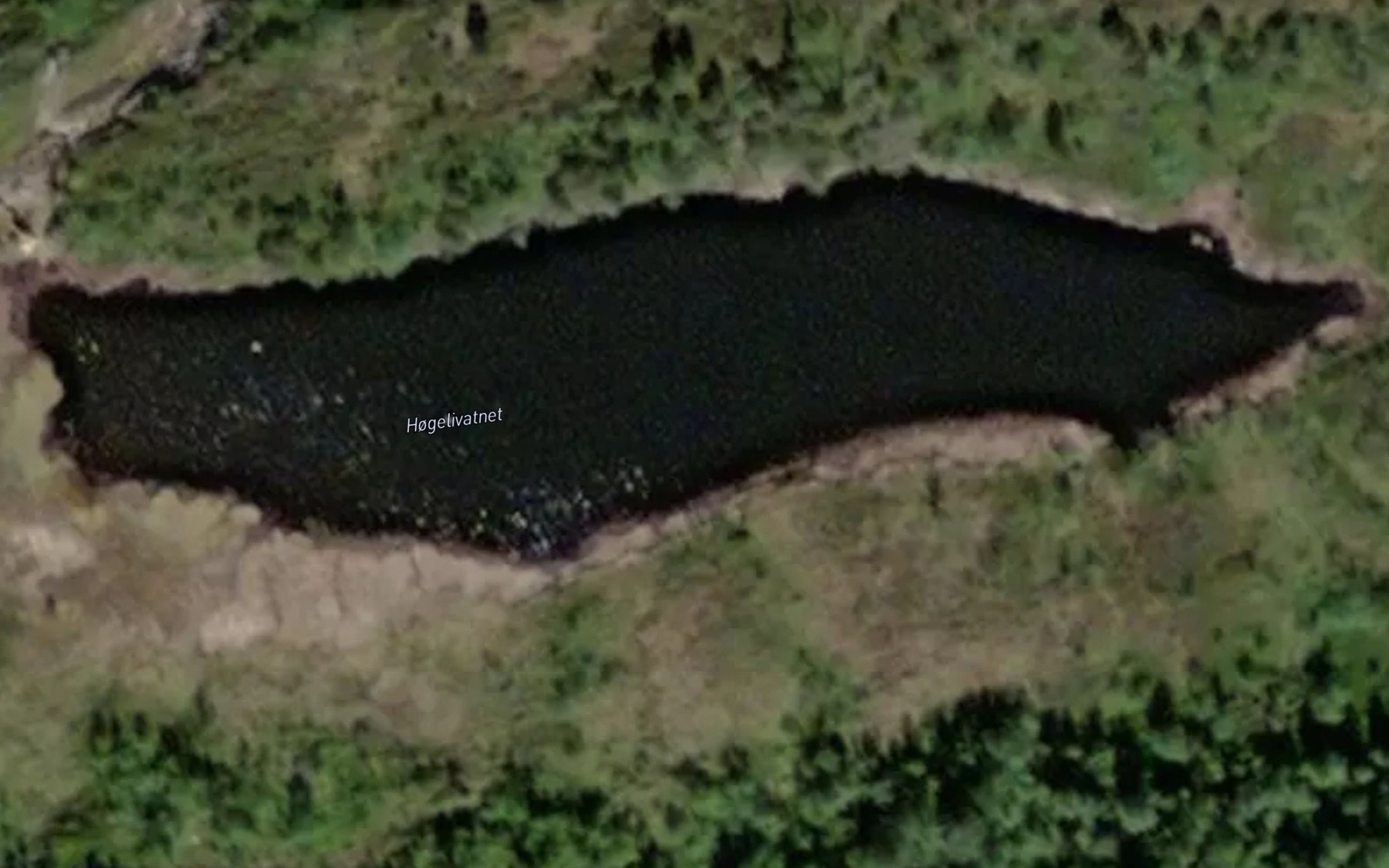 Satellite map of the Hogelivatnet