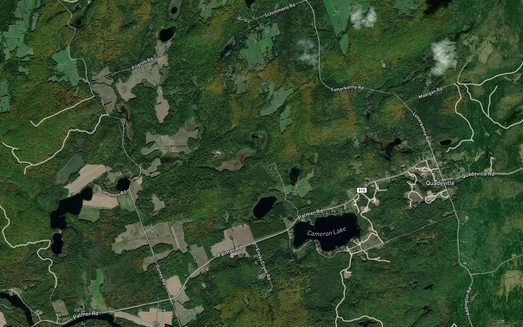 Satellite map of the Remus Pond