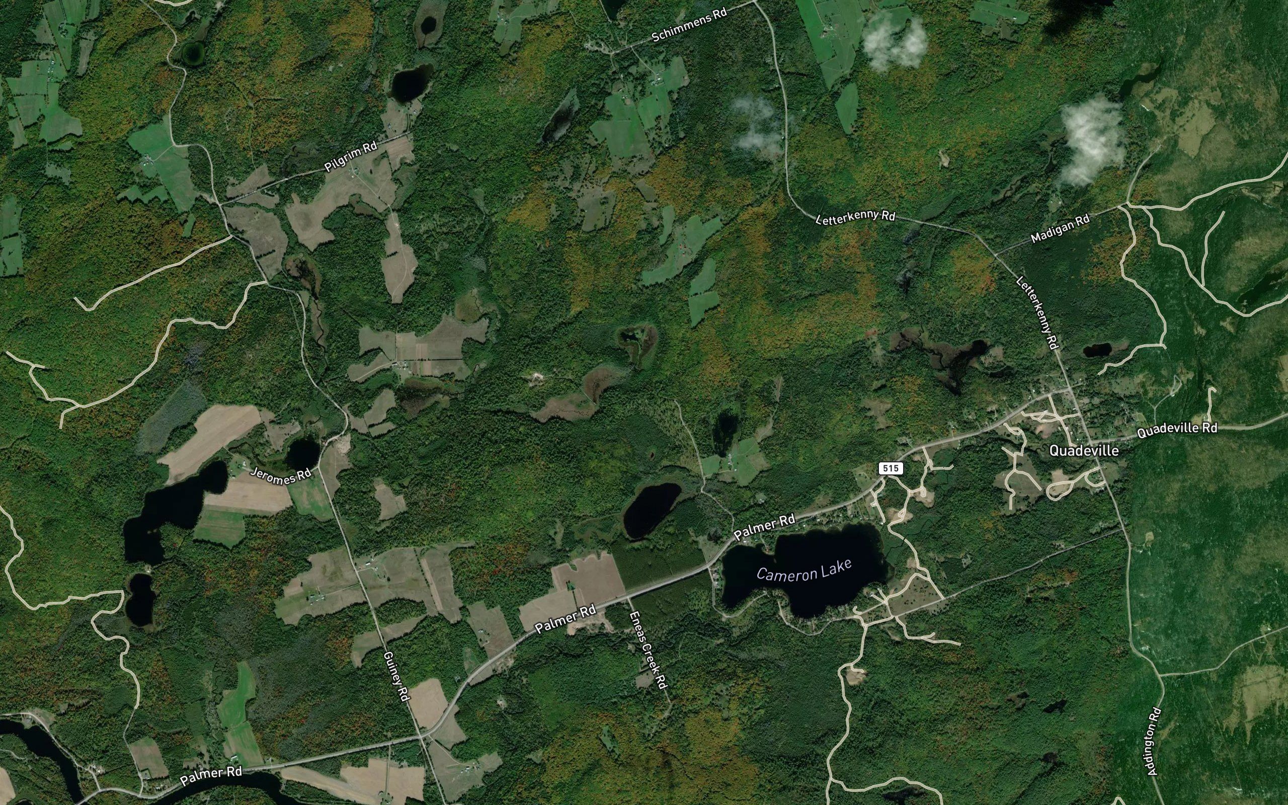 Remus Pond