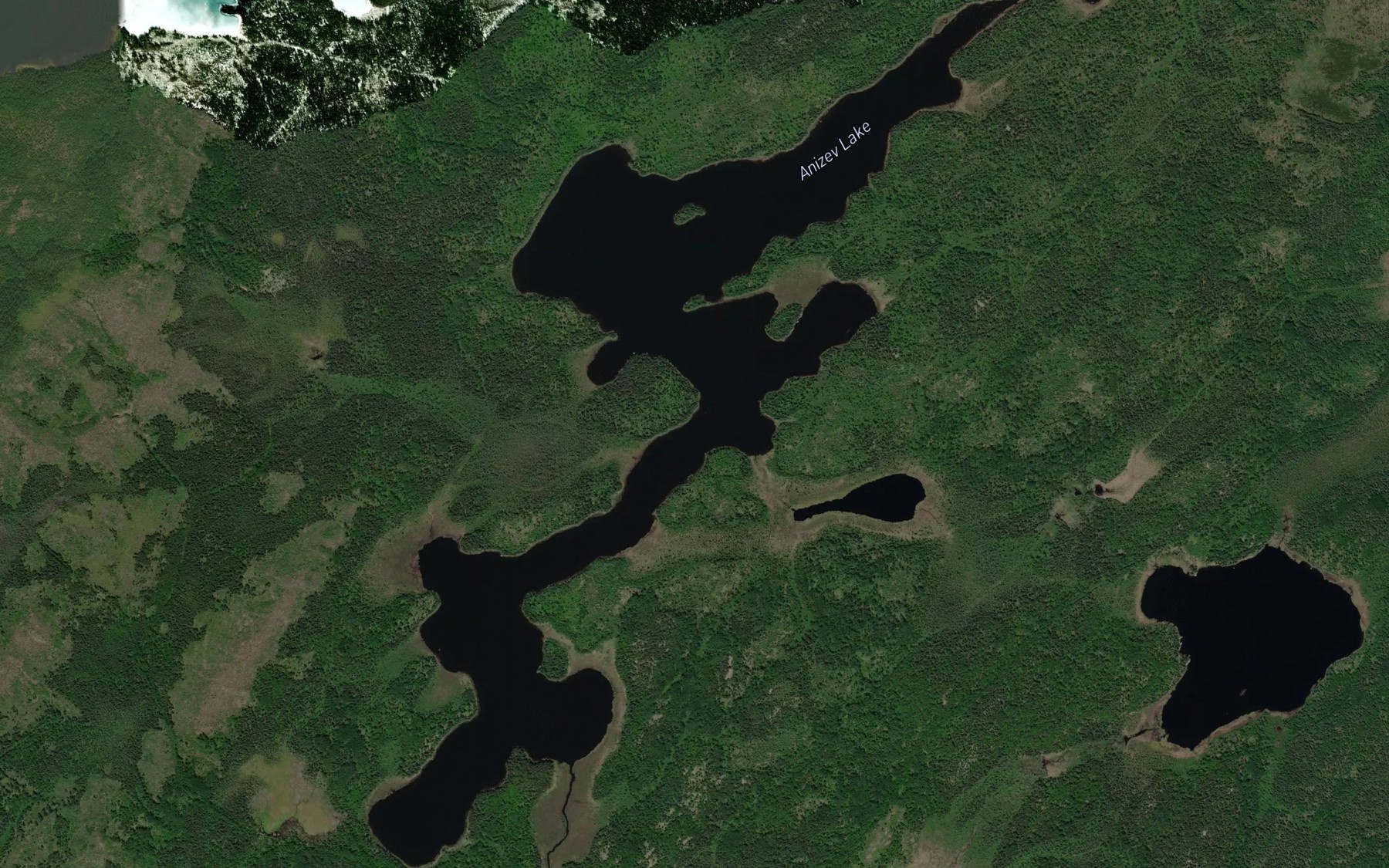 Satellite map of the Anizev Lake