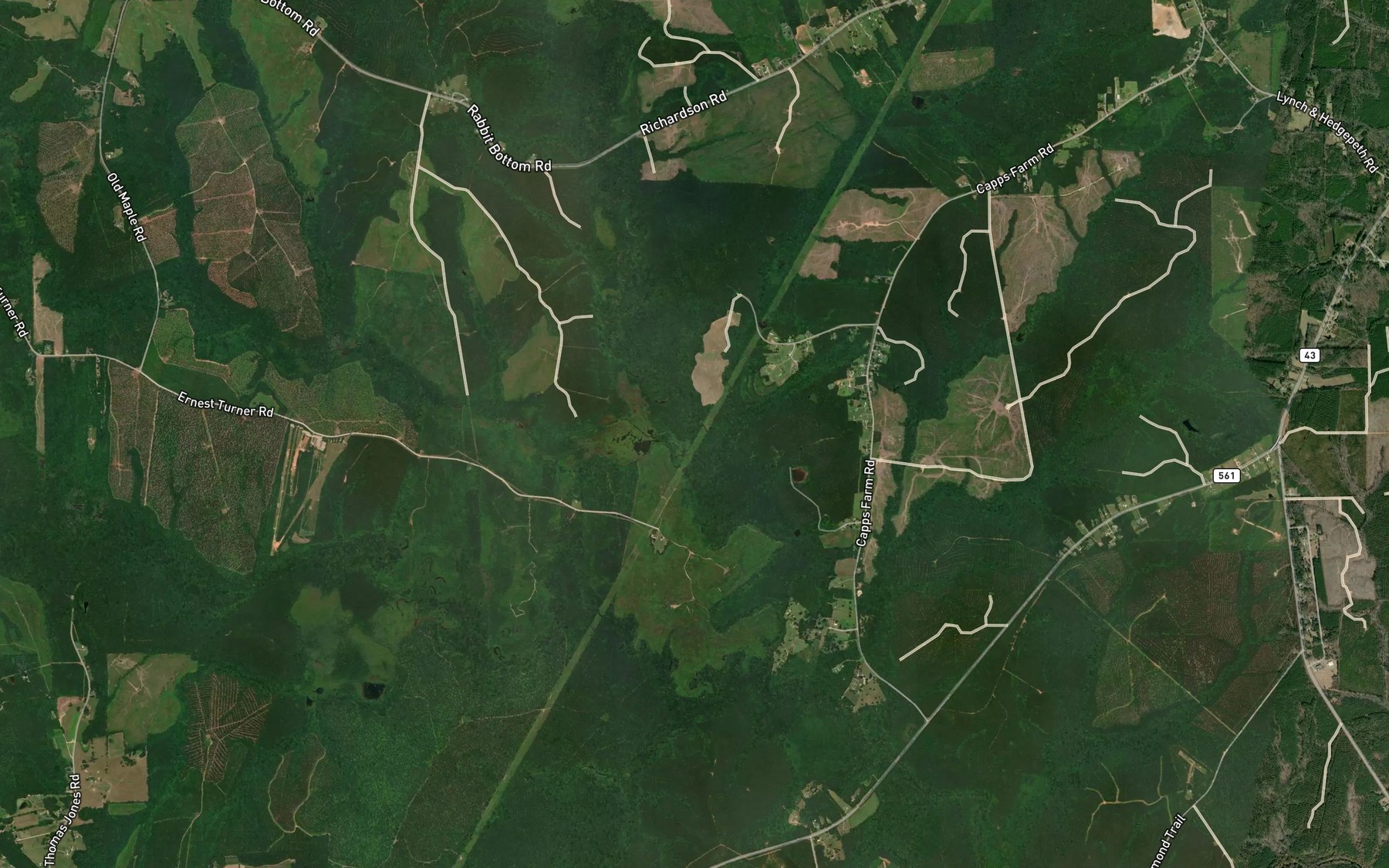 Satellite map of the Maple Branch