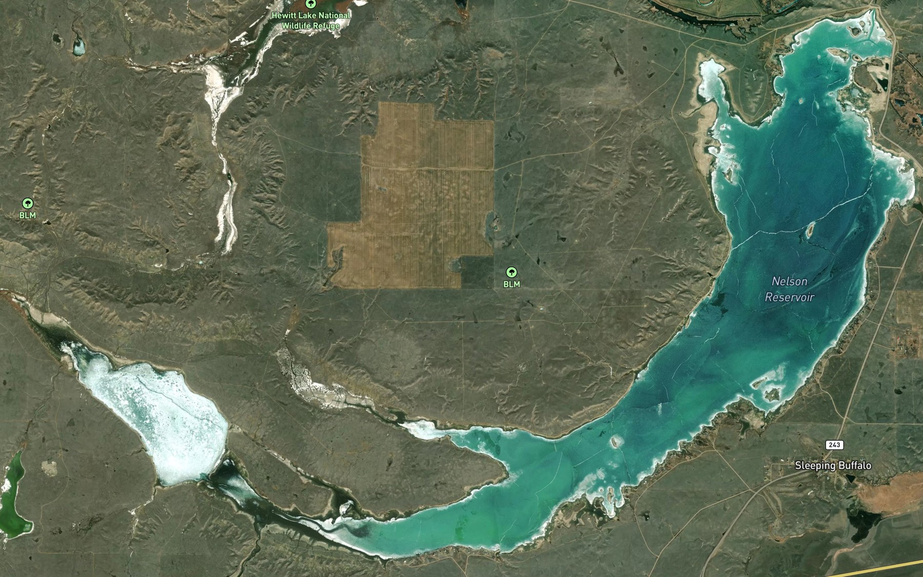 Satellite map of the Nelson Reservoir