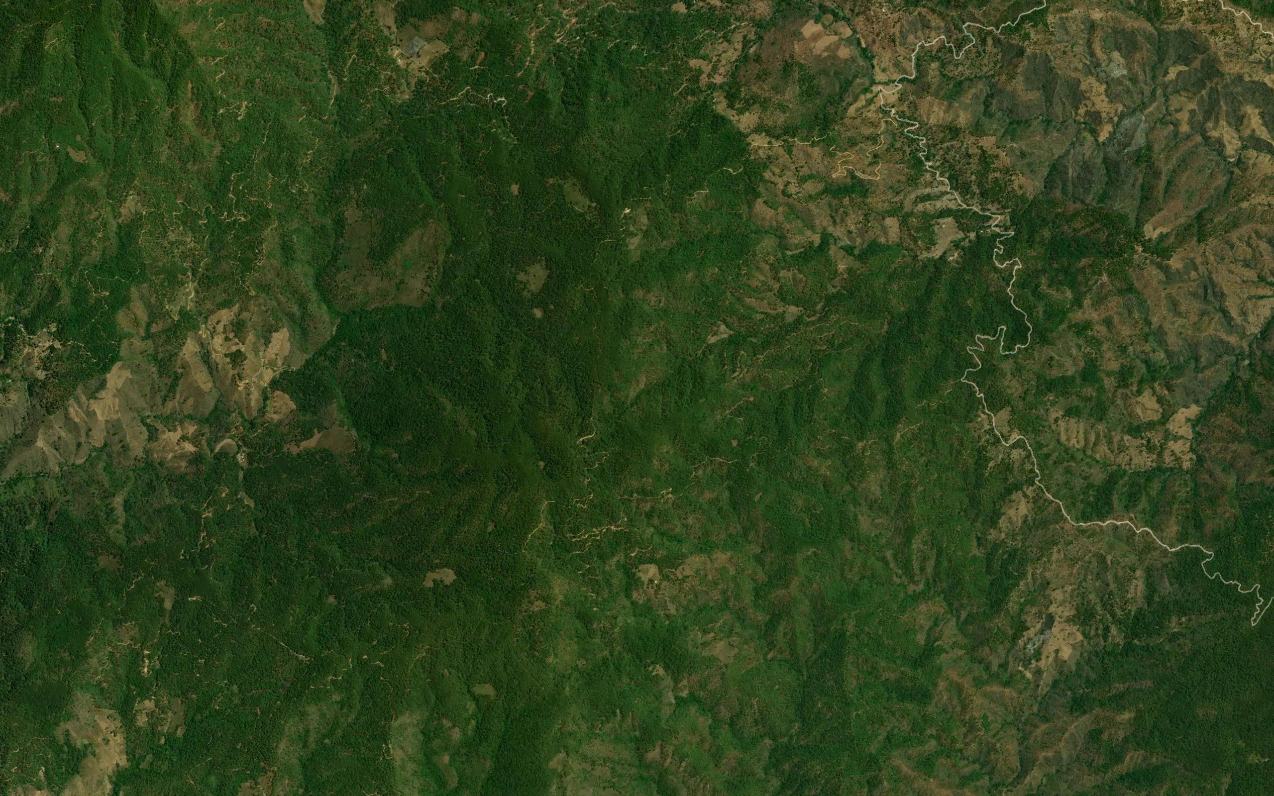 El Izote