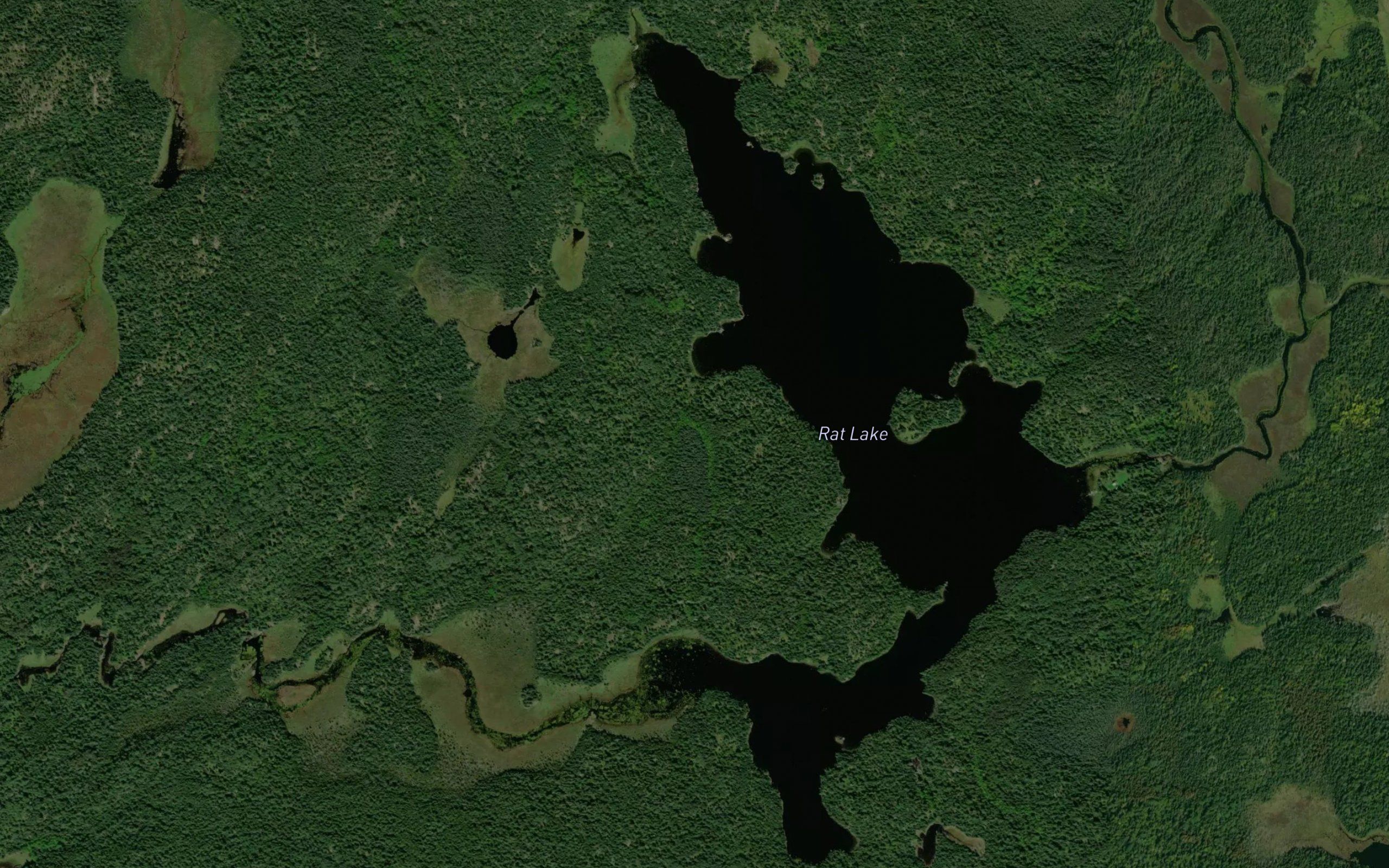 Rat Lake