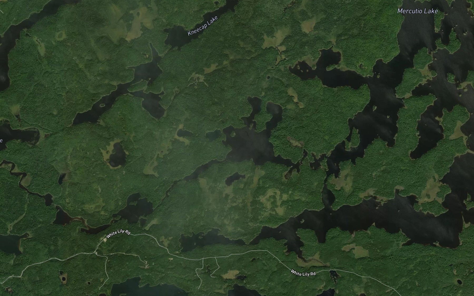 Satellite map of the Lance Lake