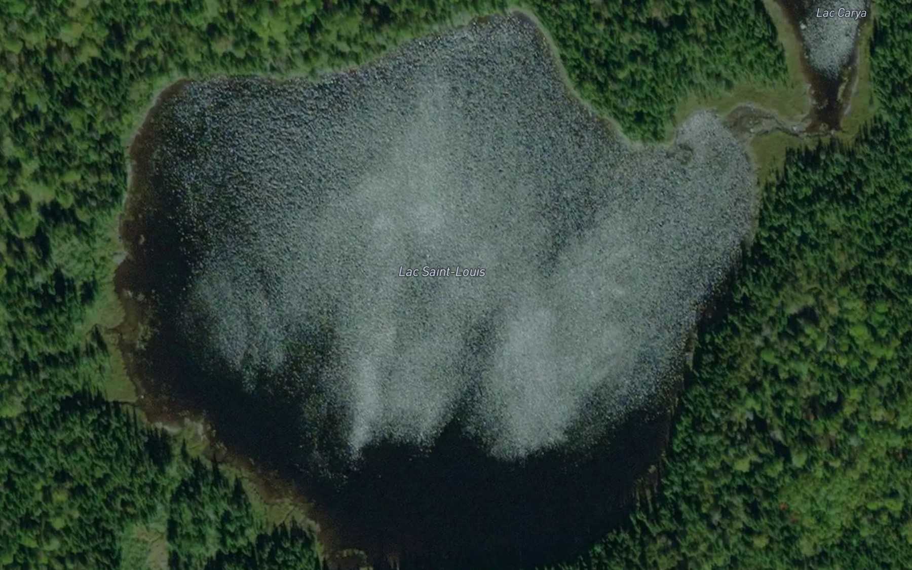 Satellite map of the Lac Saint-Louis