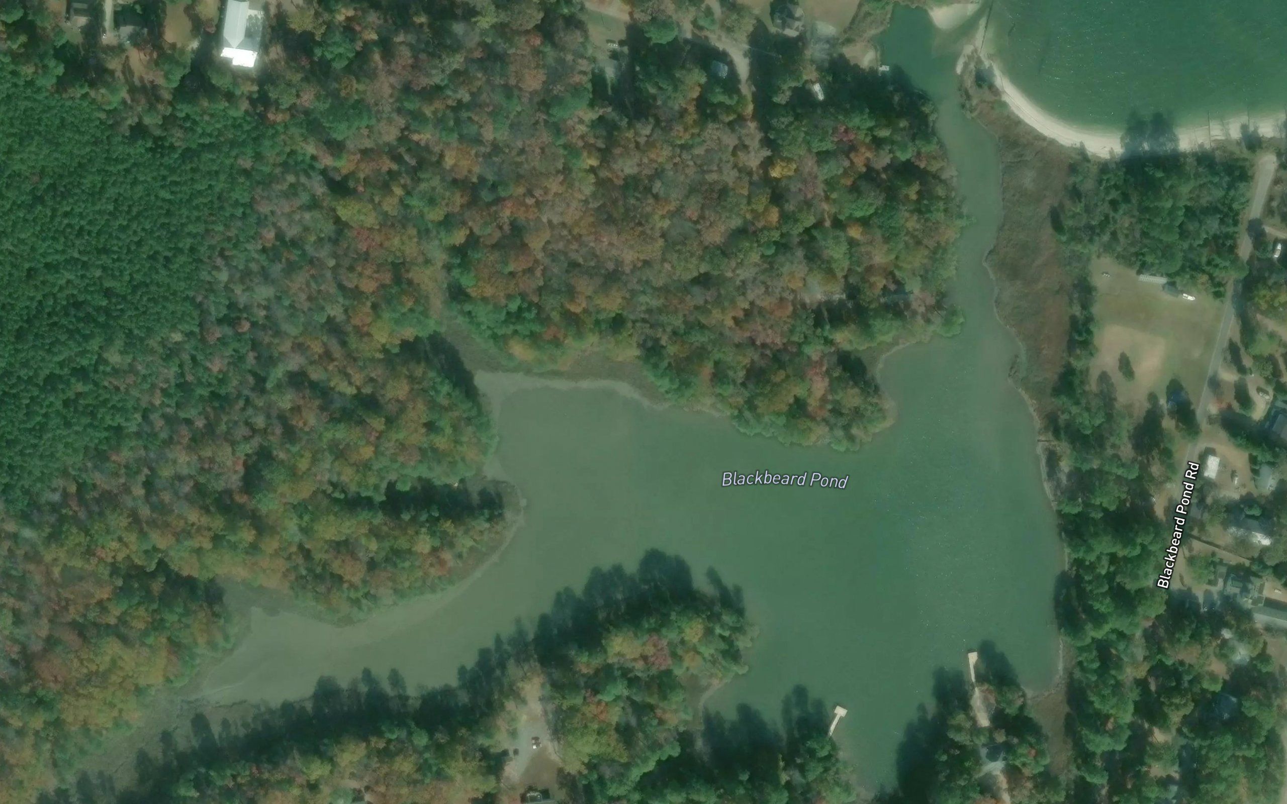 Blackbeard Pond