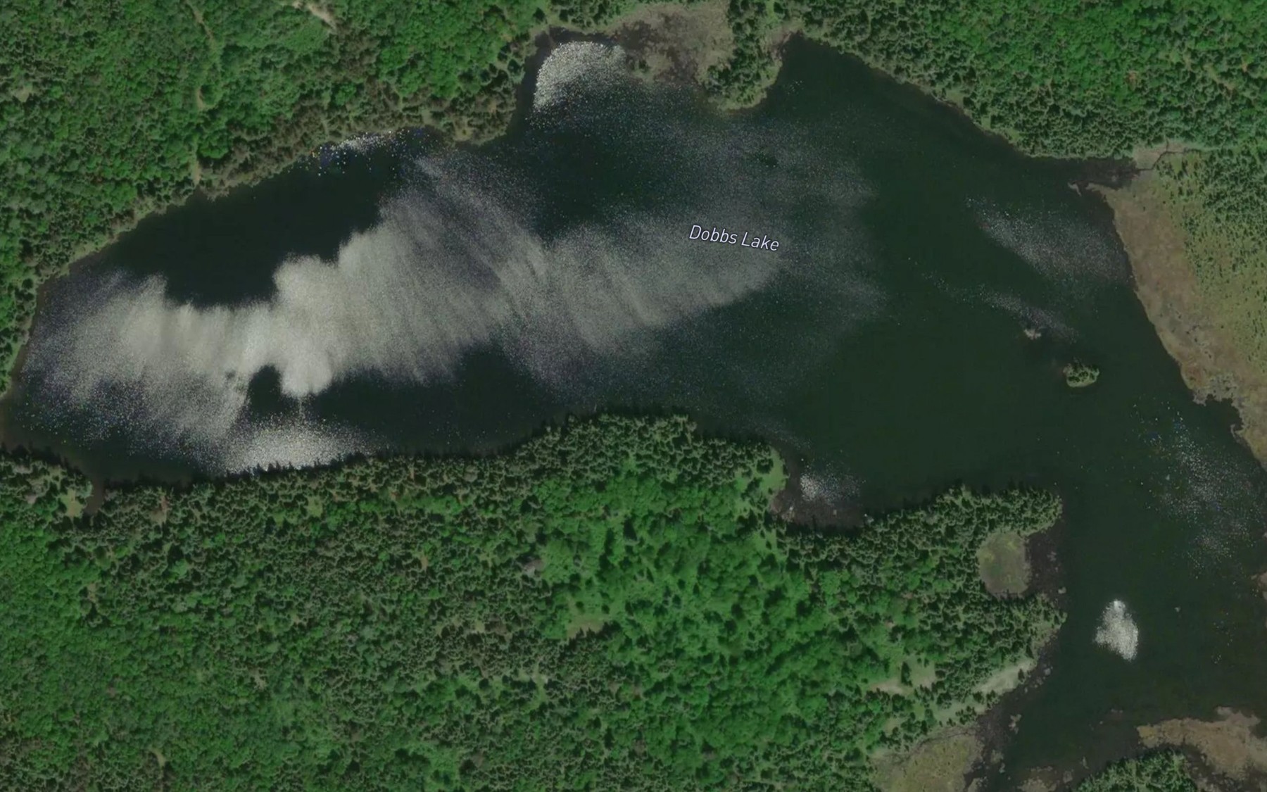 Satellite map of the Dobbs Lake