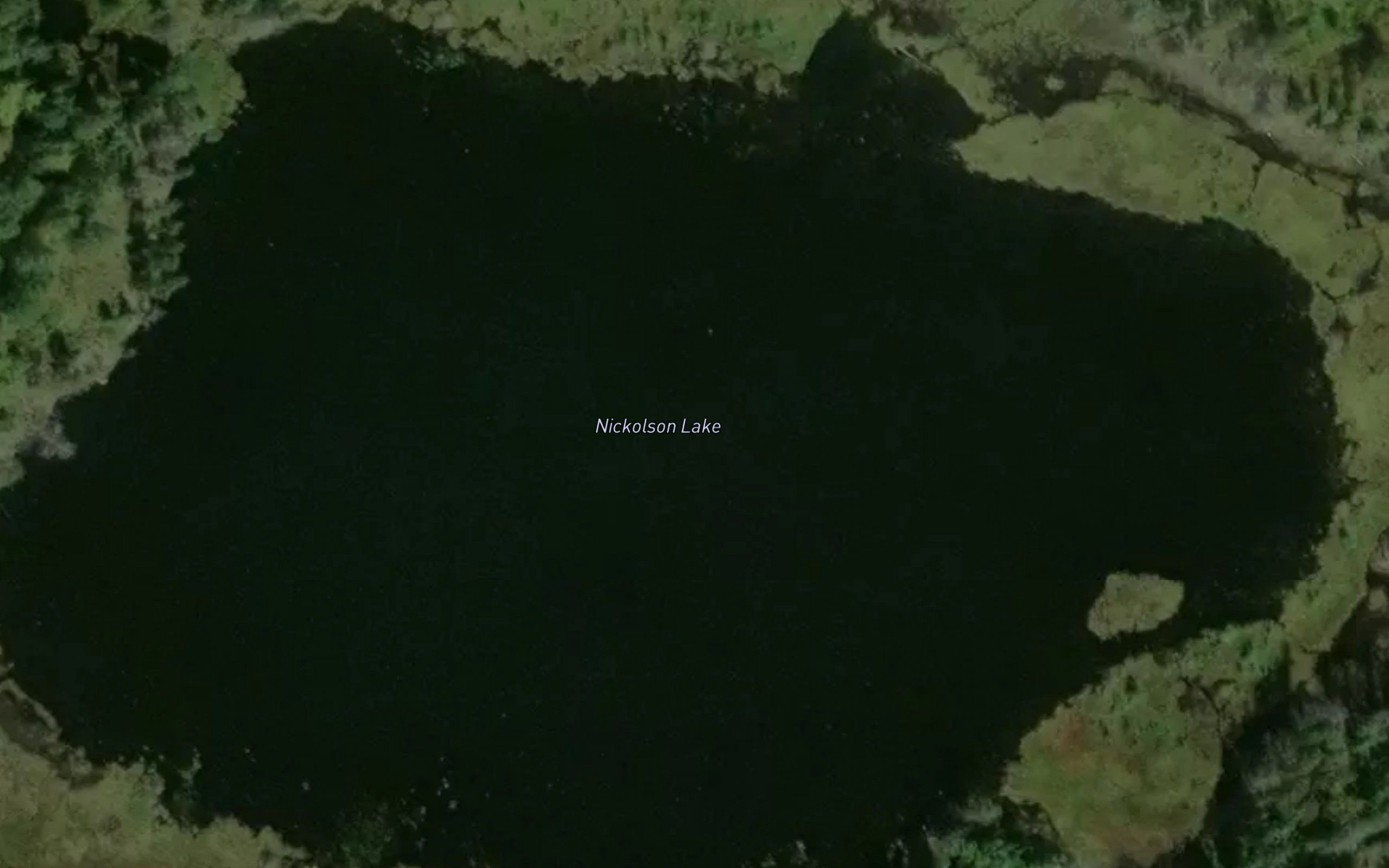 Nickolson Lake
