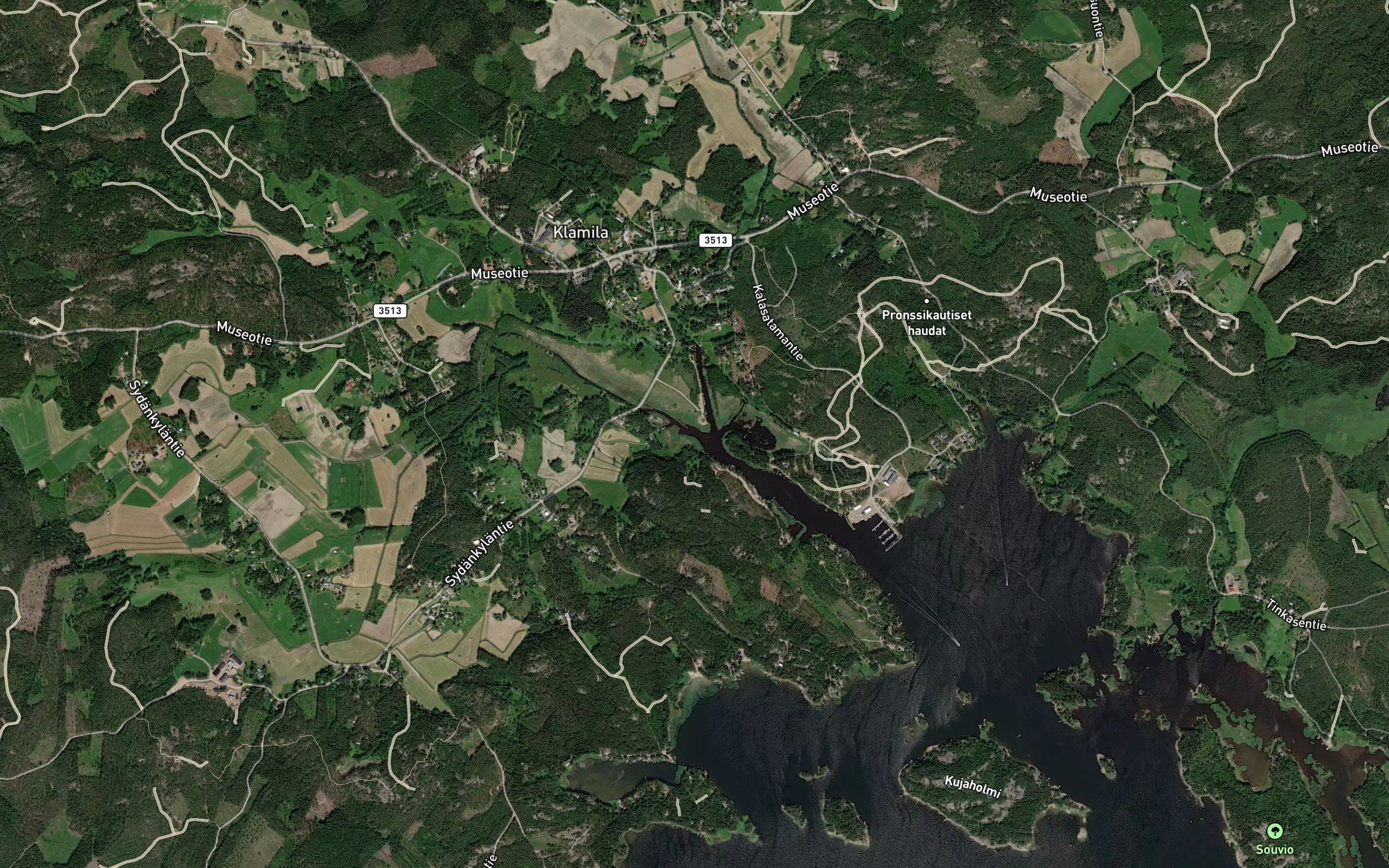 Lamminoja