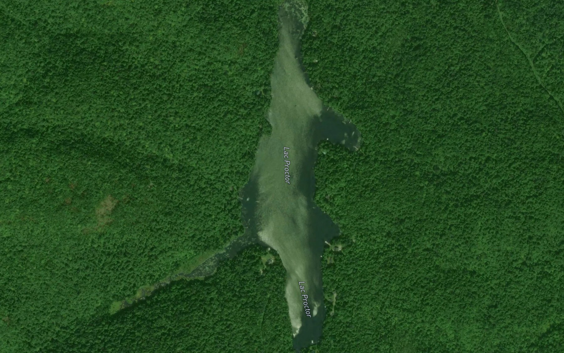Satellite map of the Lac Proctor