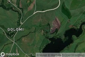 Golomi