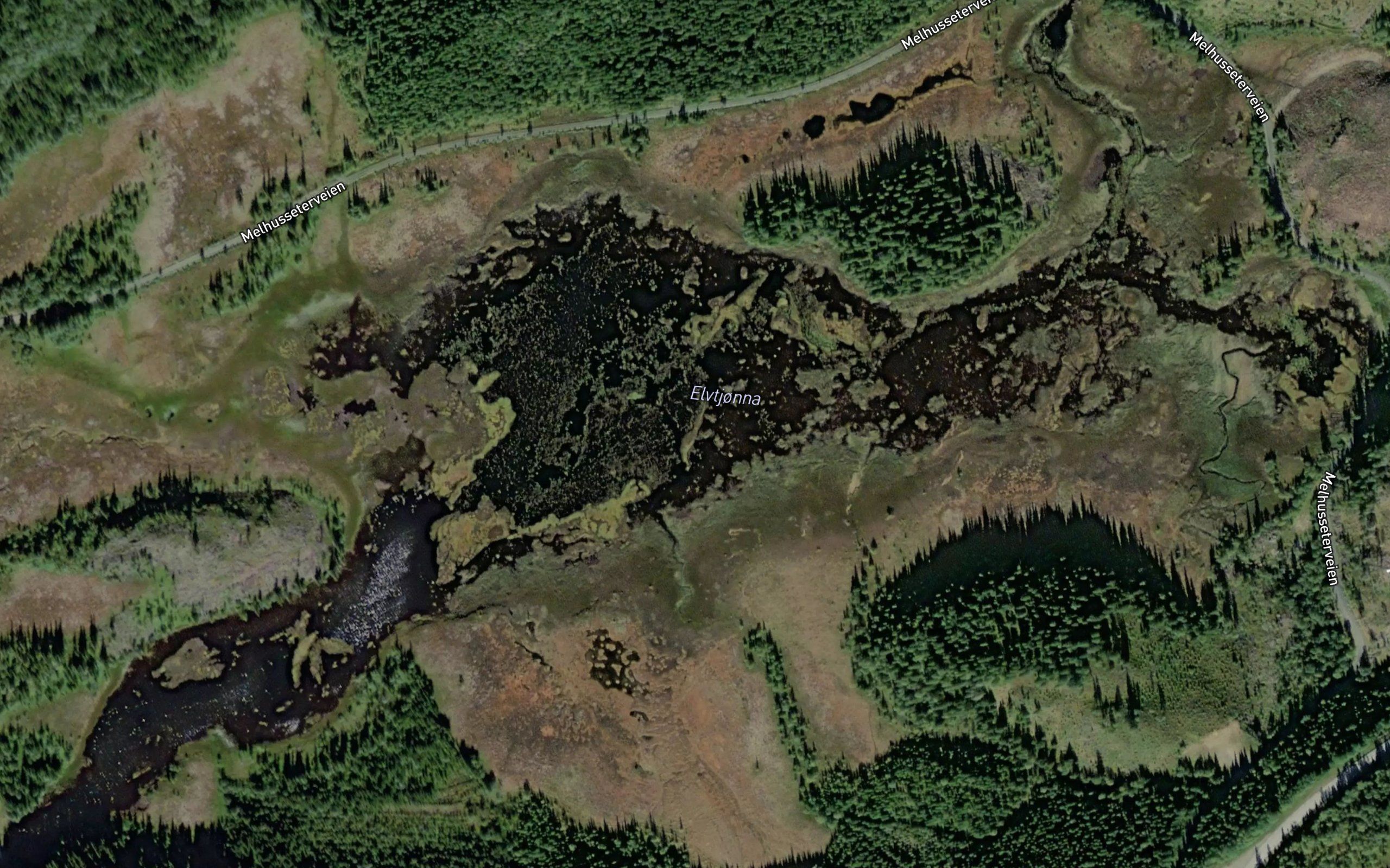 Elvtjorna