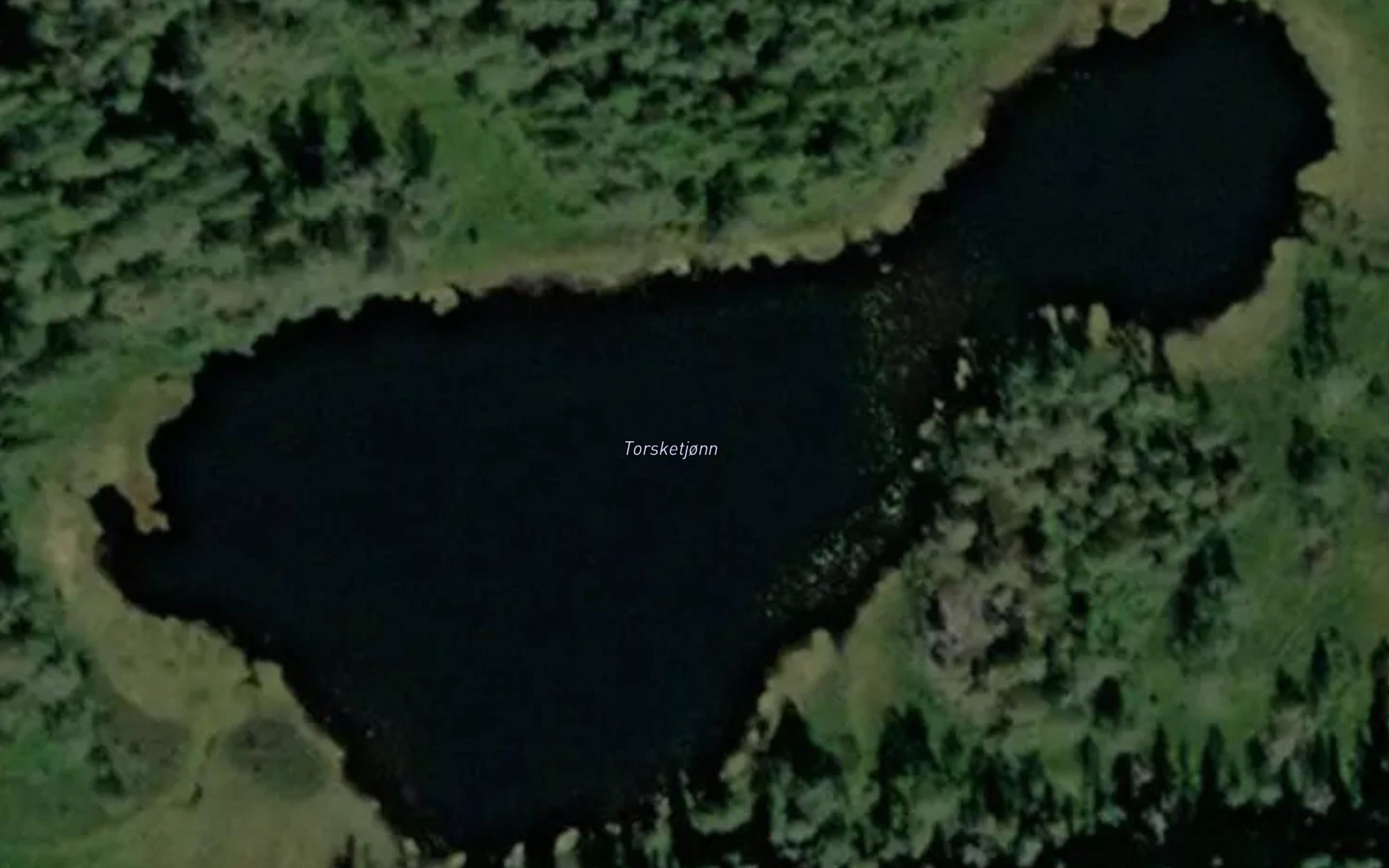 Torsketjonn