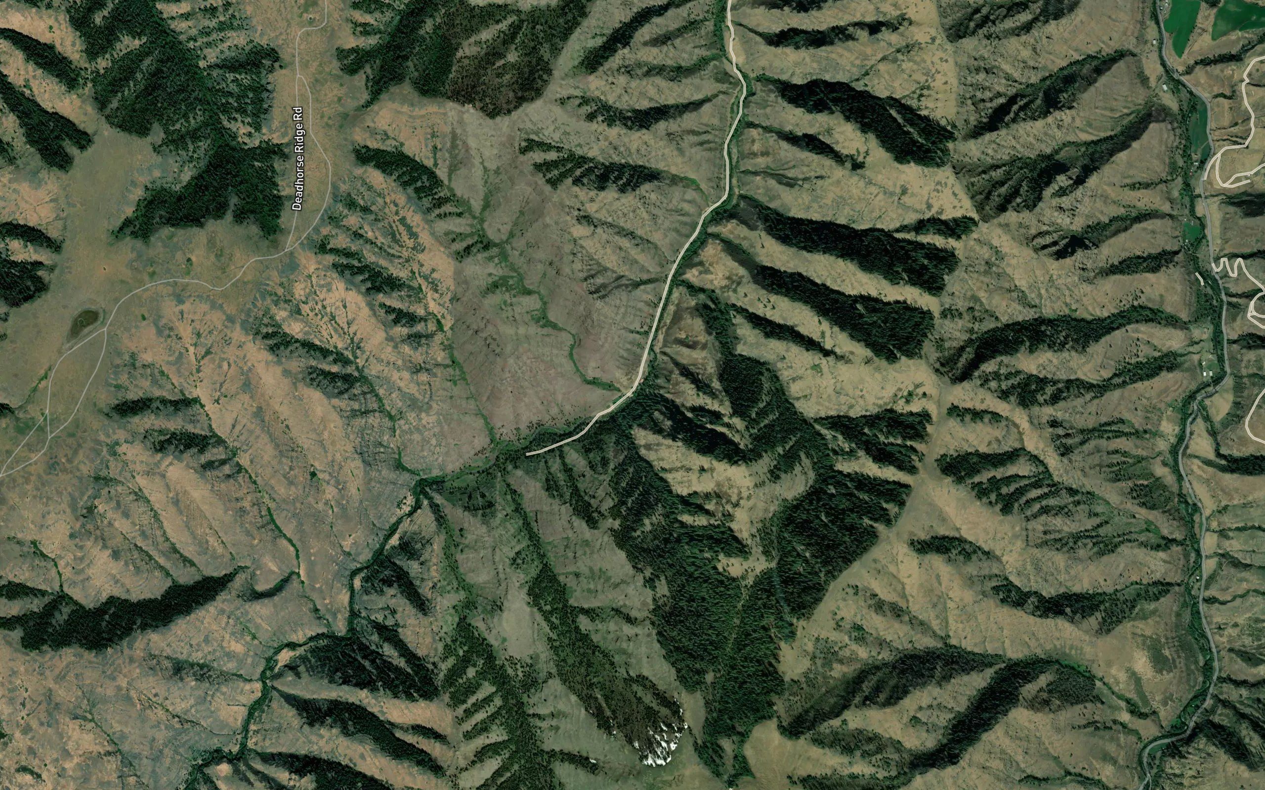 Muley Creek