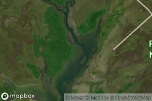 Upper Freshwater Creek