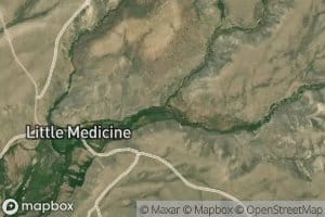 South Prong South Fork Little Medicine