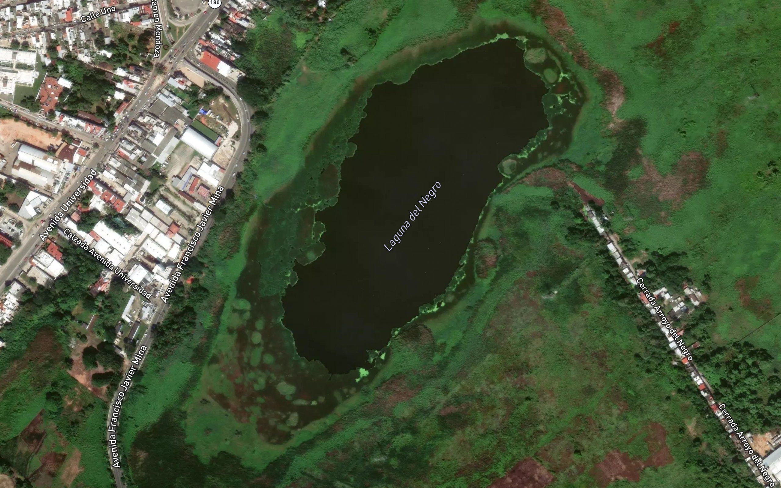 Laguna el Negro
