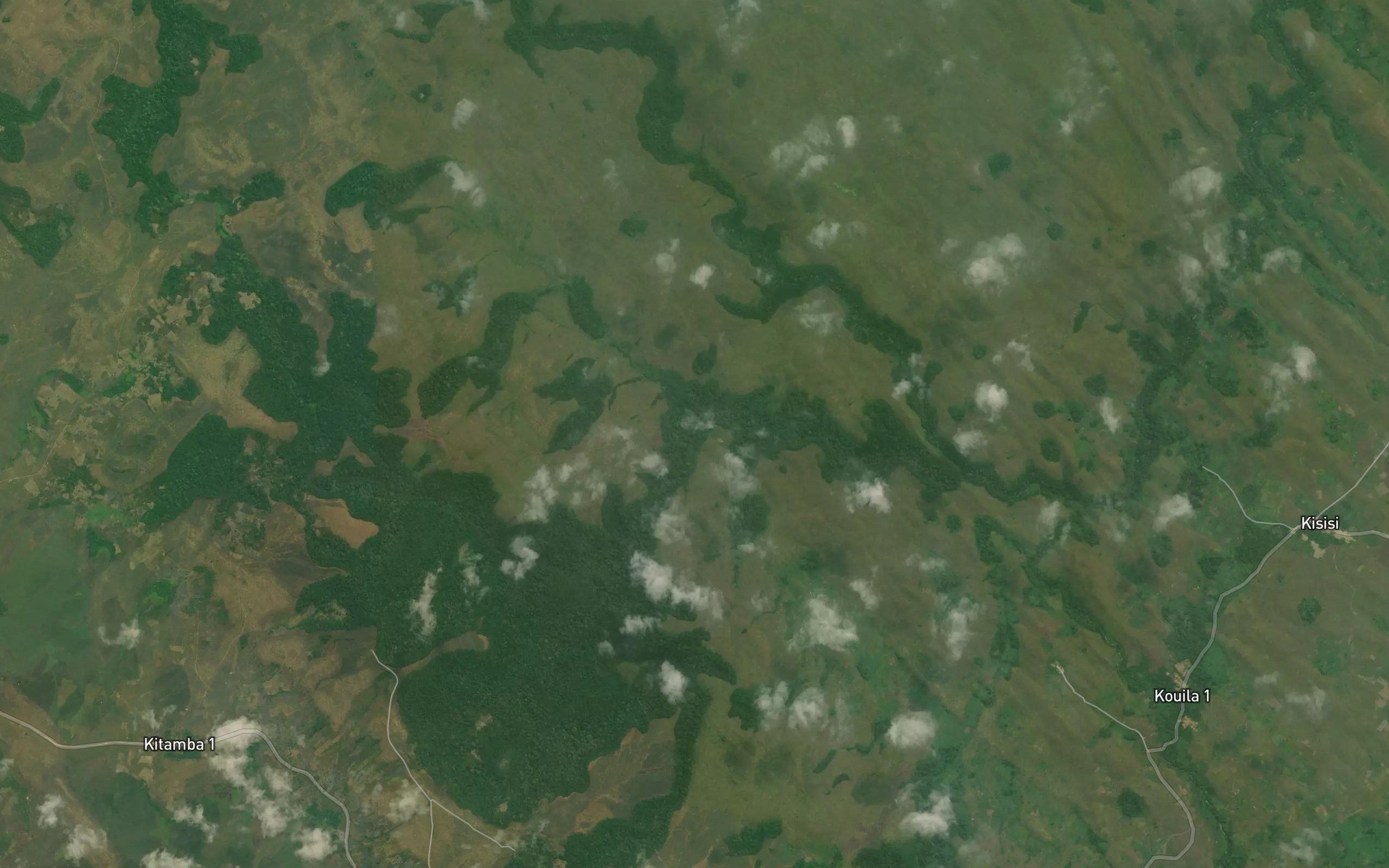Kidikidi