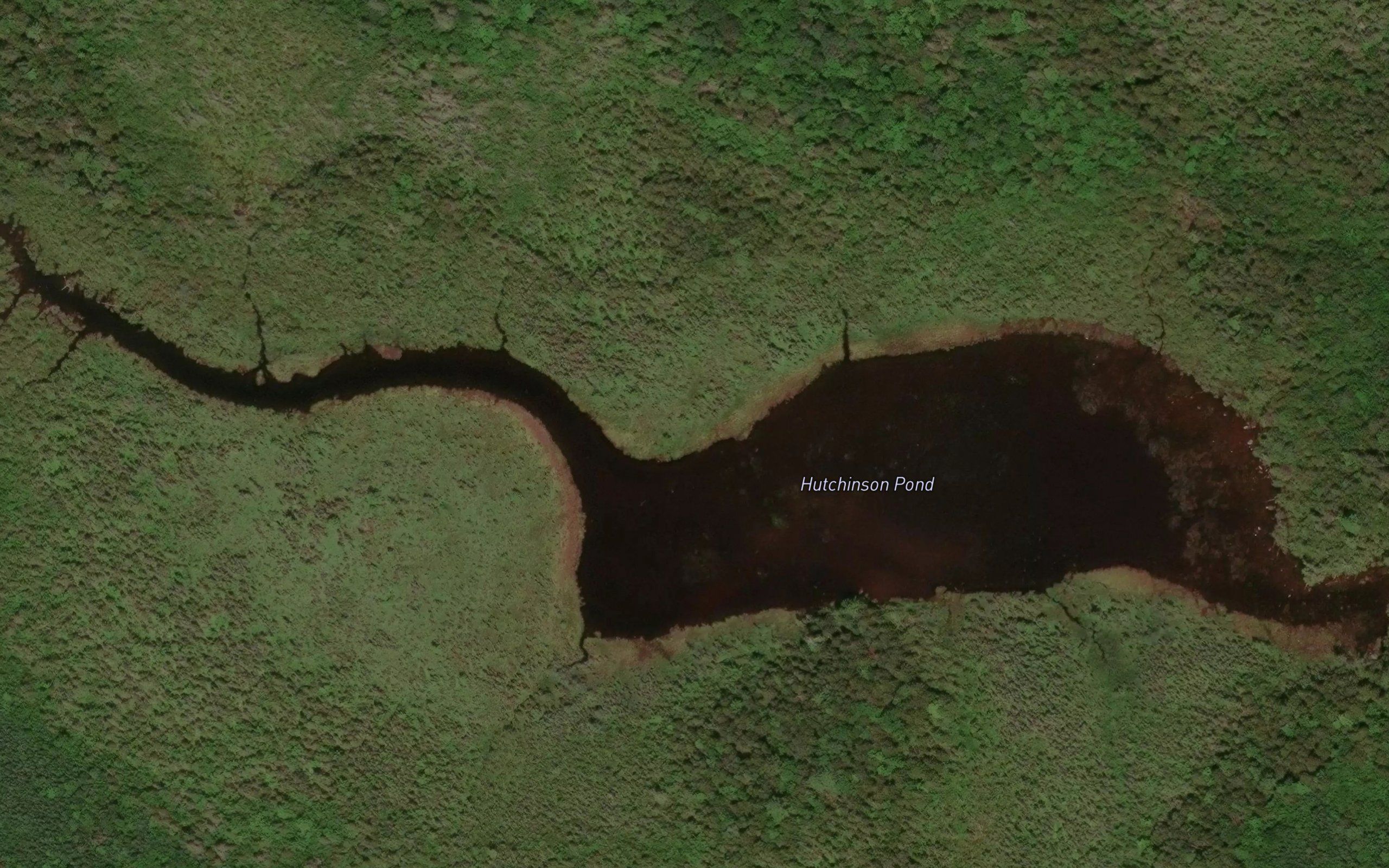 Hutchinson Pond
