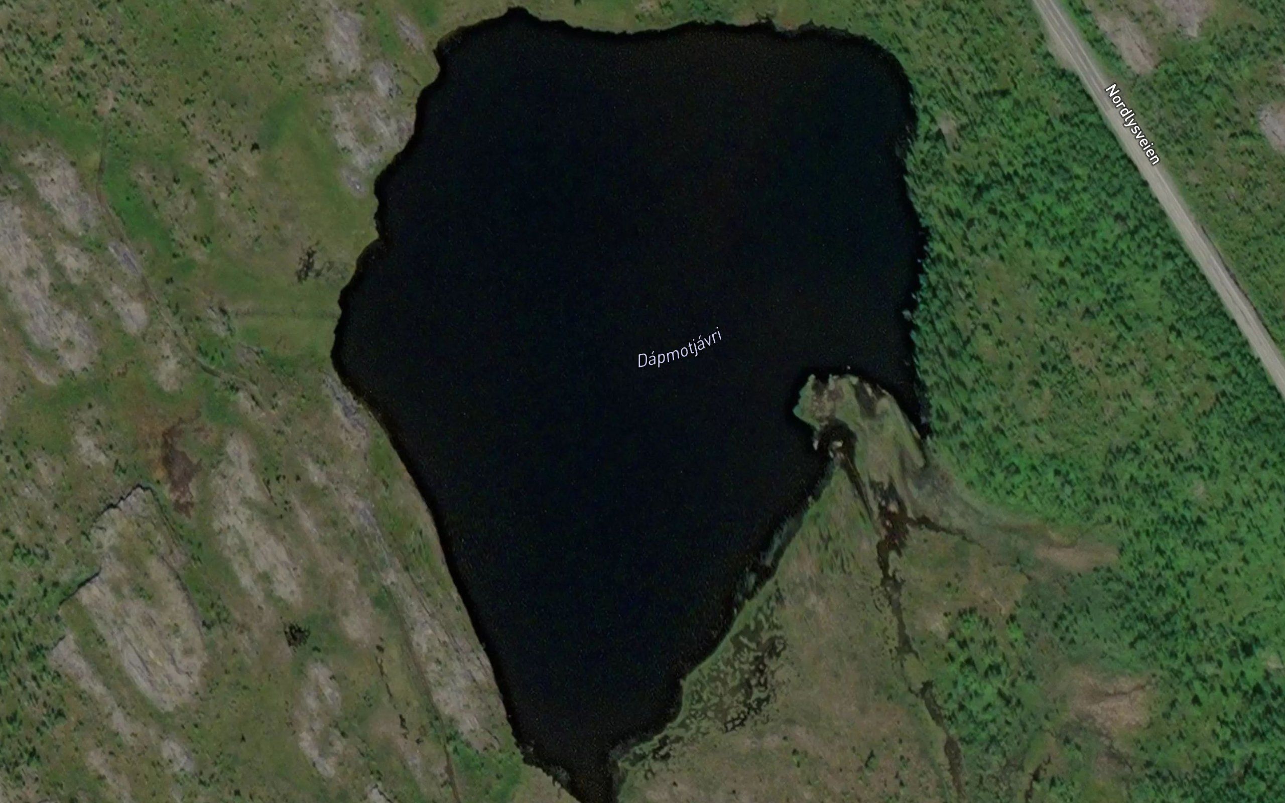 Dapmotlattu