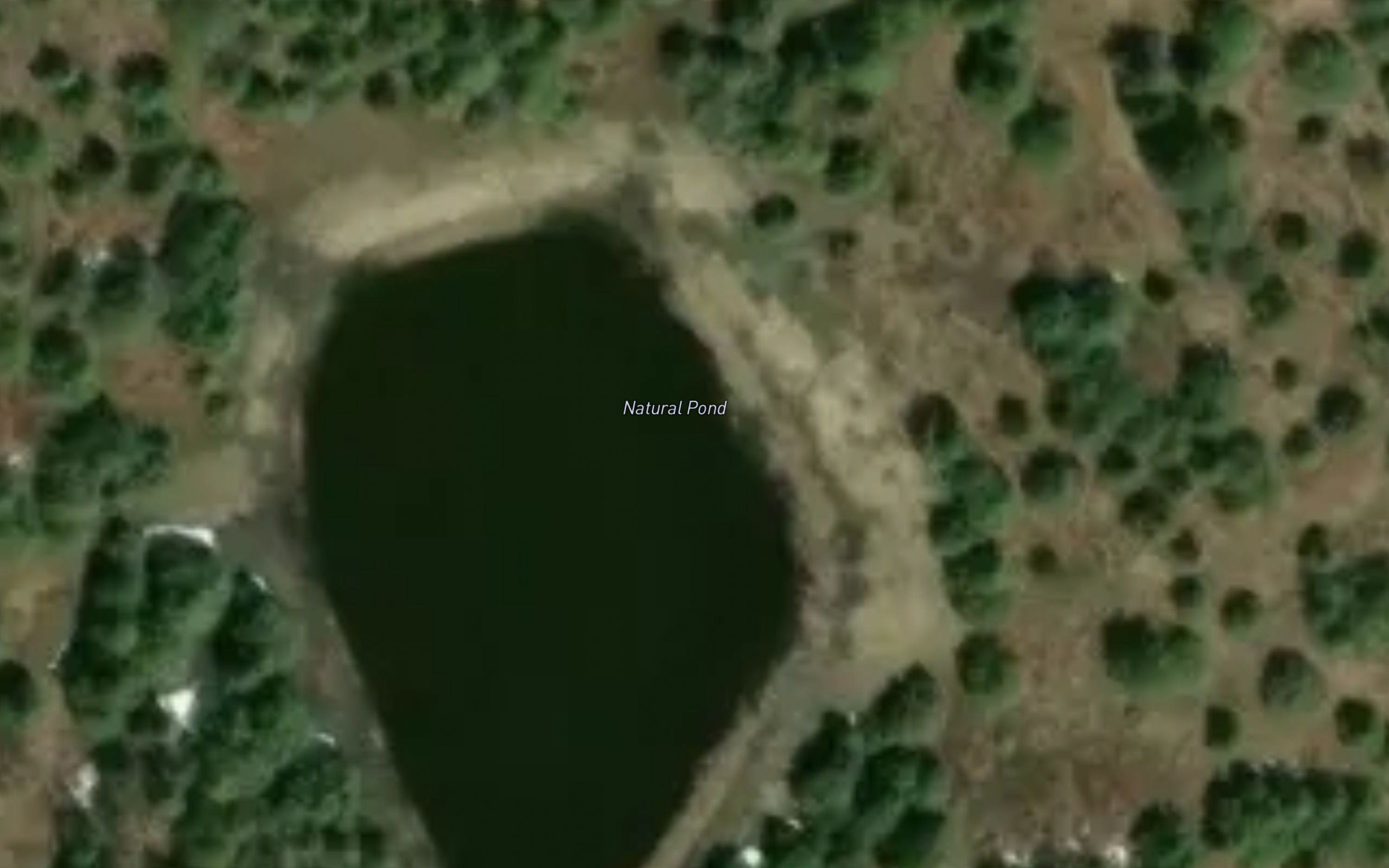 Natural Pond