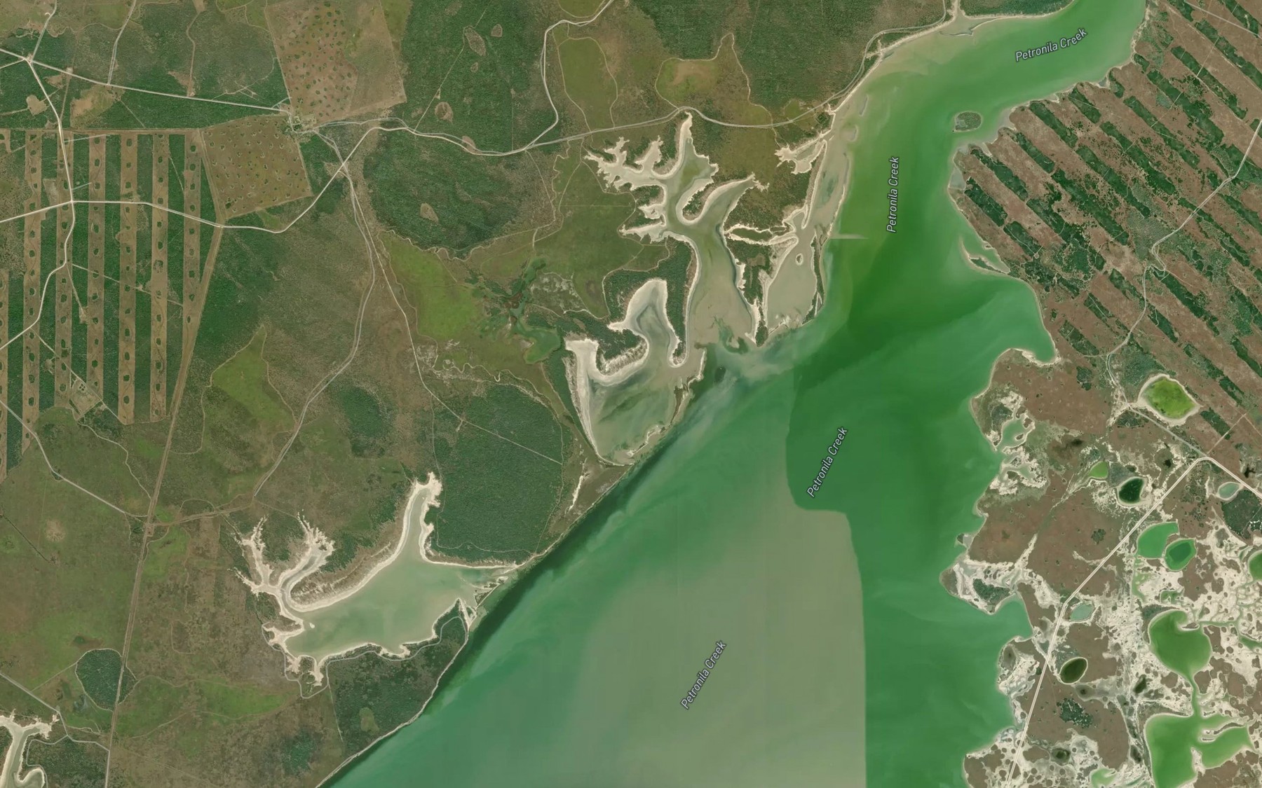 Satellite map of the Comitas Lake