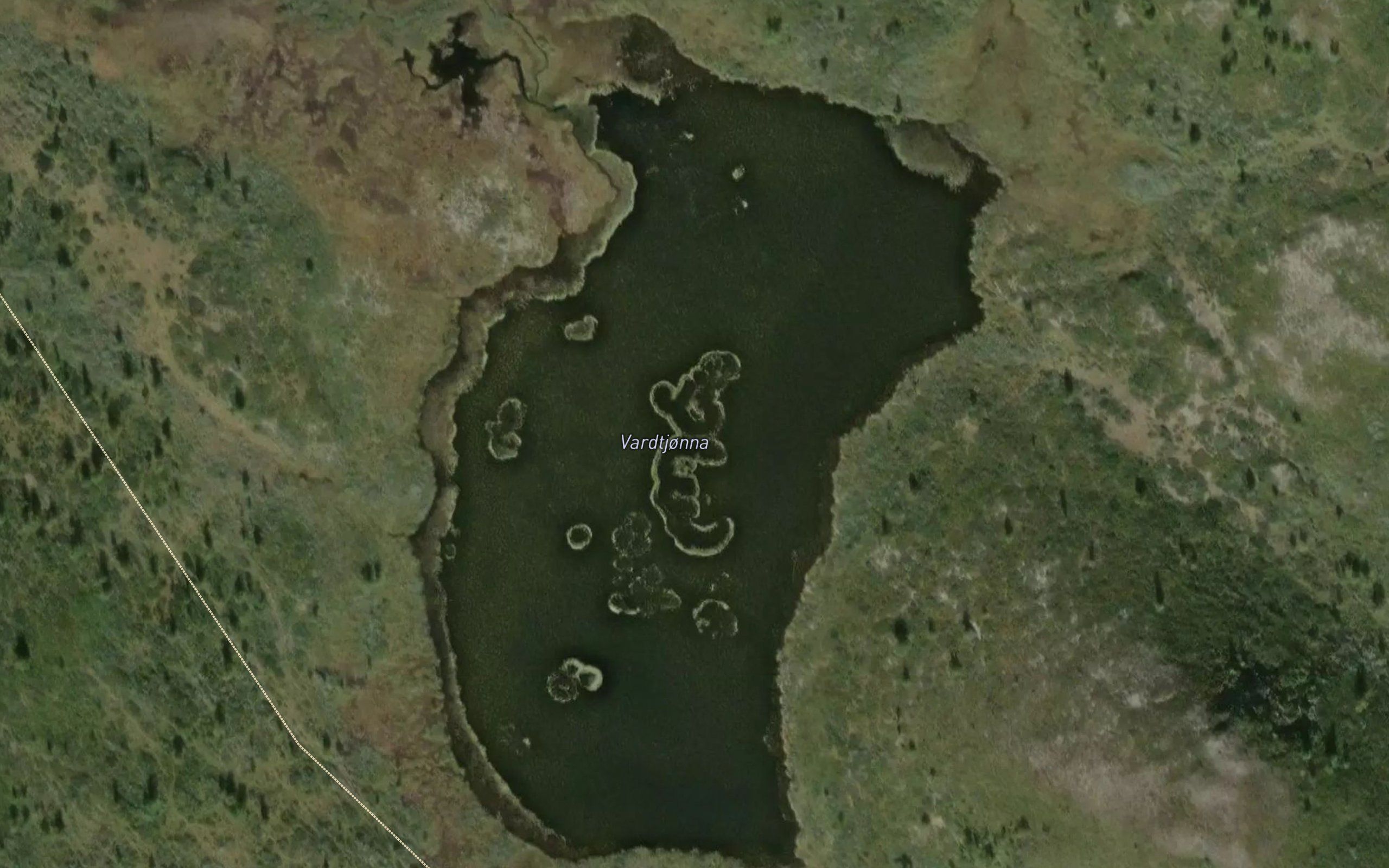 Vardtjorn