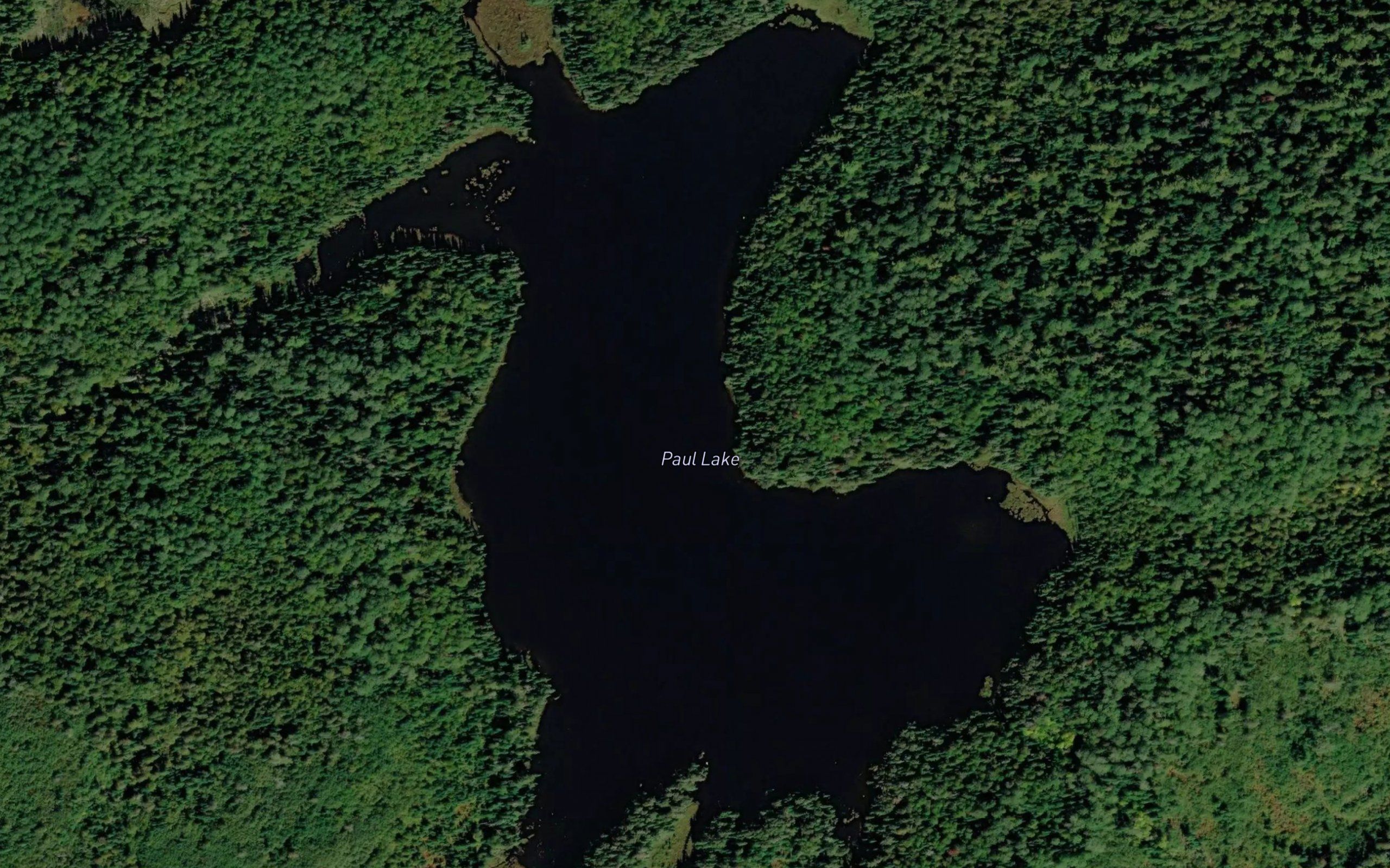 Paul Lake