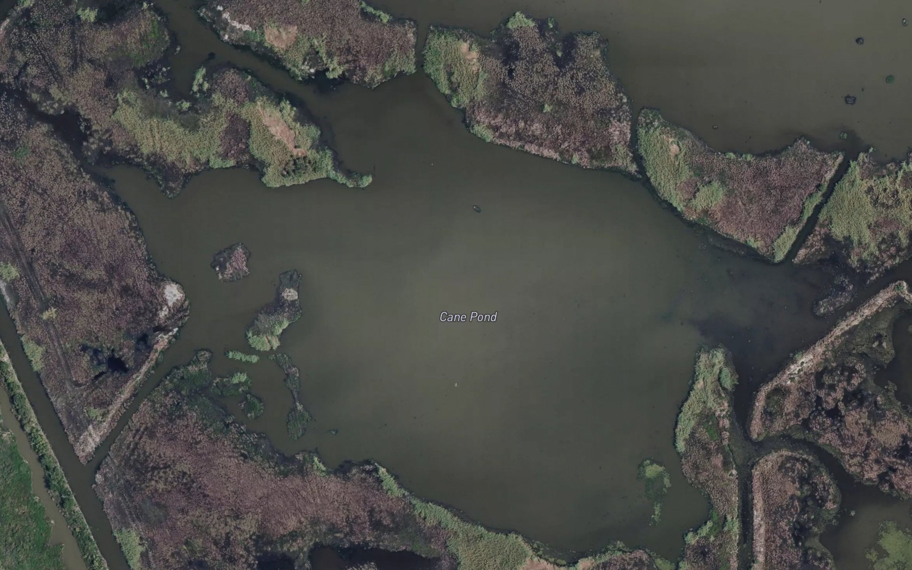 Satellite map of the Cane Pond