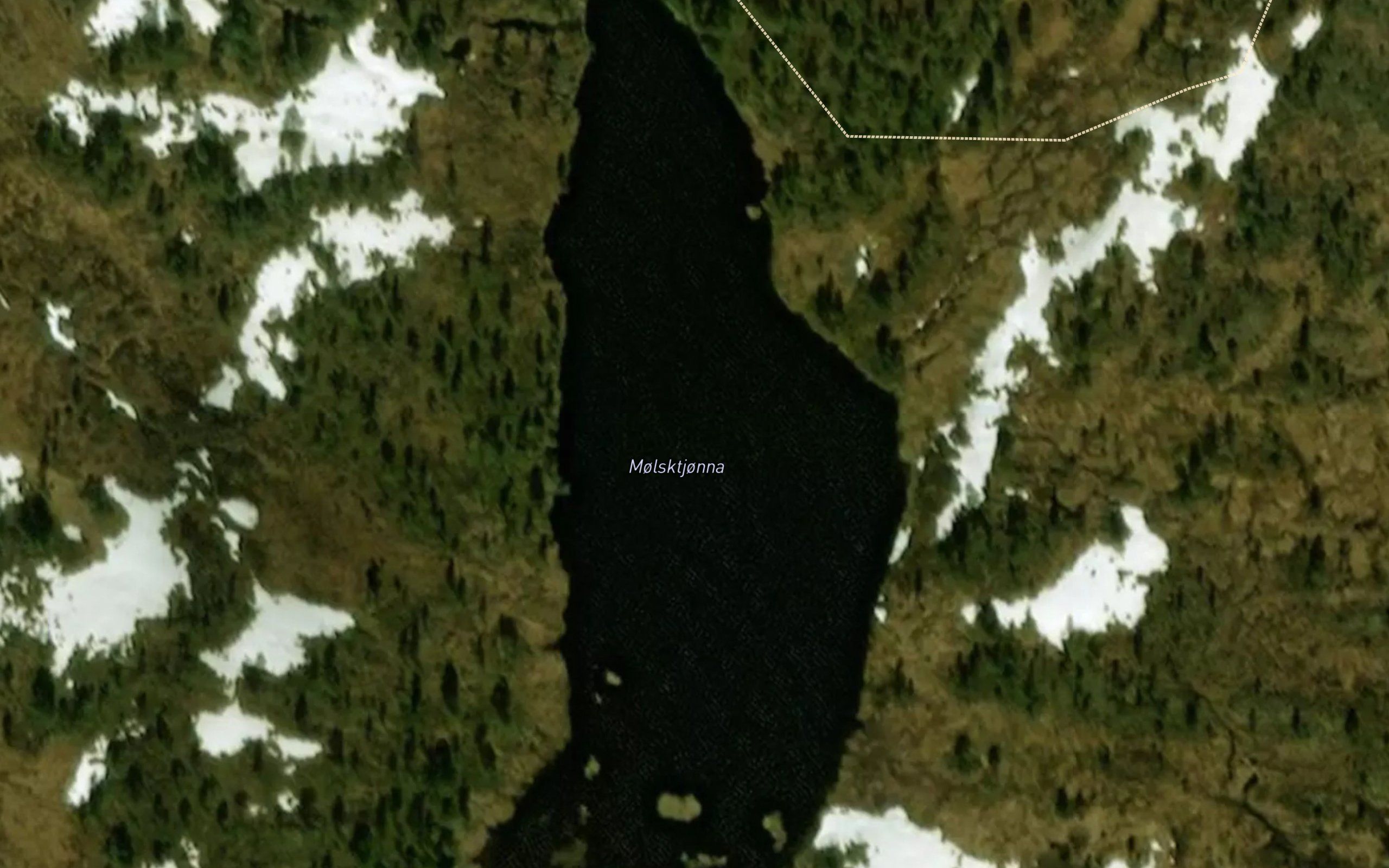 Molsktjonna