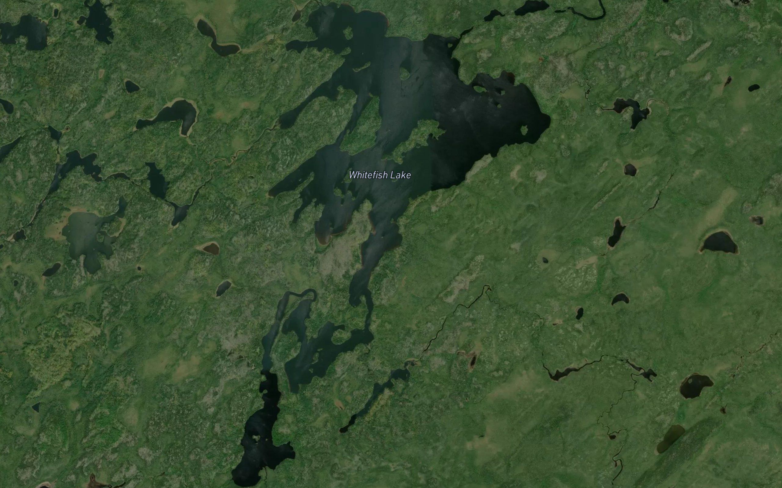 Whitefish Lake