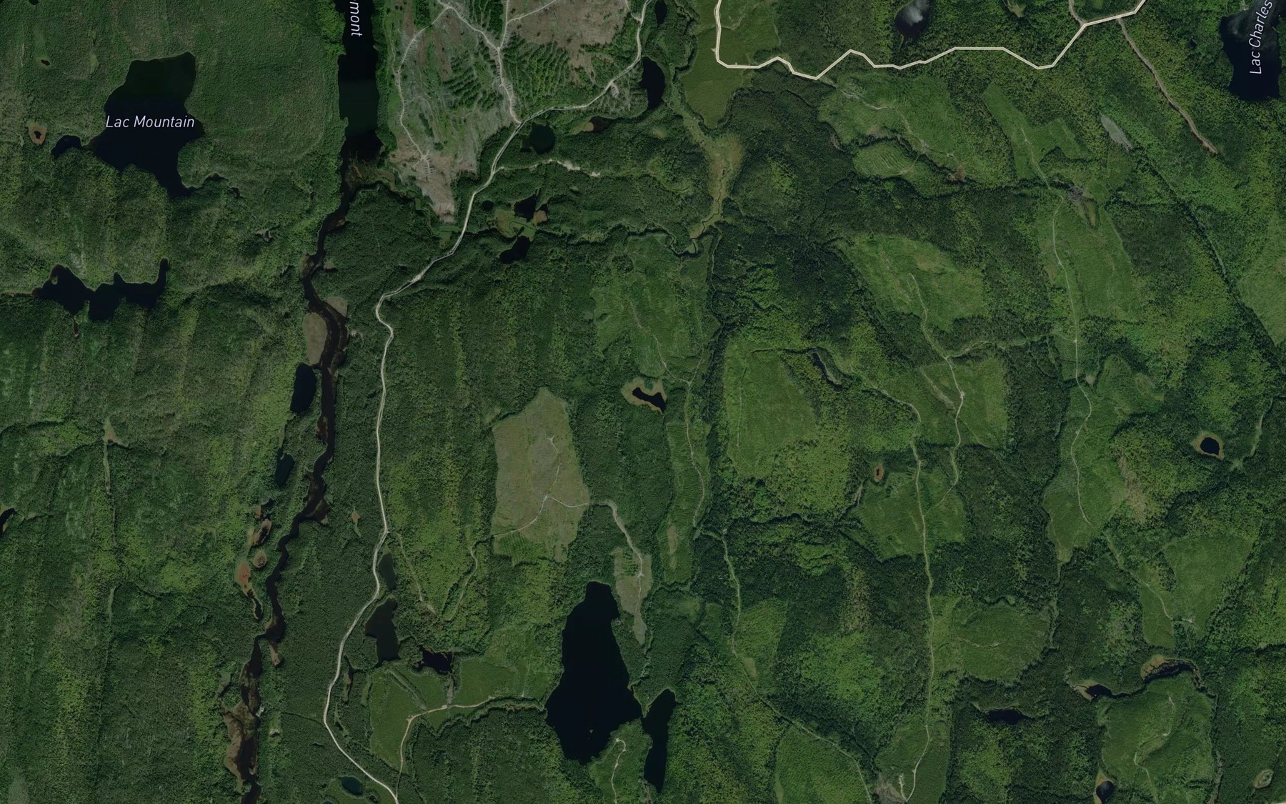 Satellite map of the Lac Gaspe