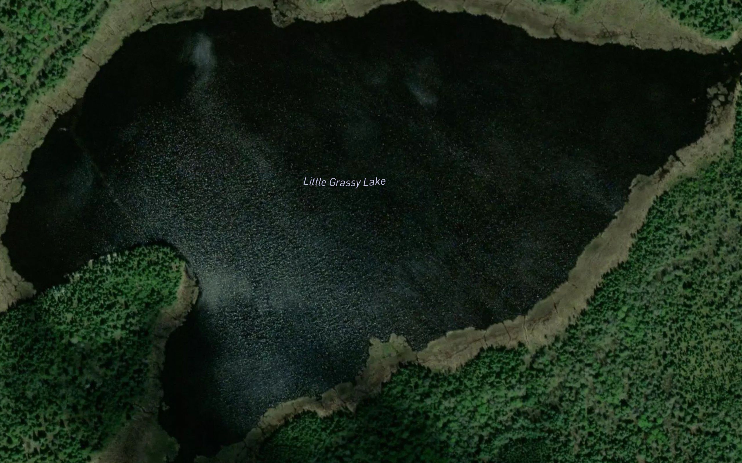 Little Grassy Lake