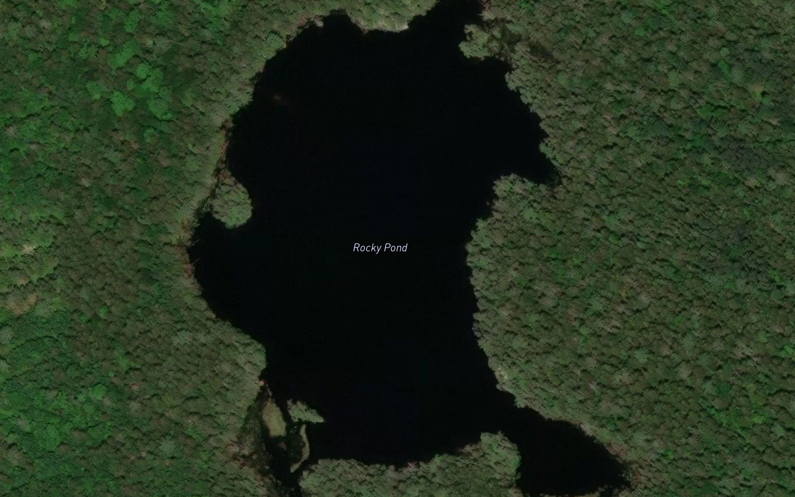 Rocky Pond