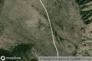 Black Snag Springs