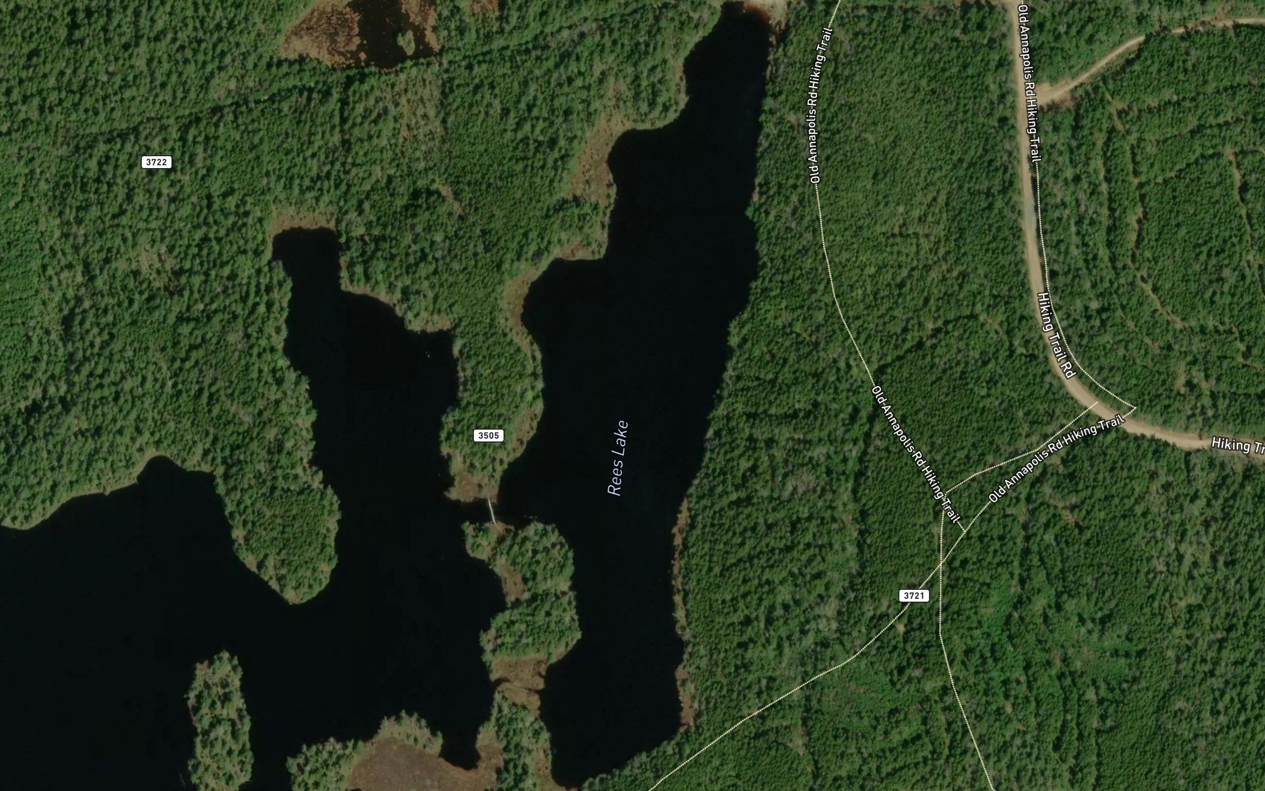 Rees Lake