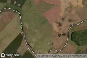 Arroyo Sauce de Orono