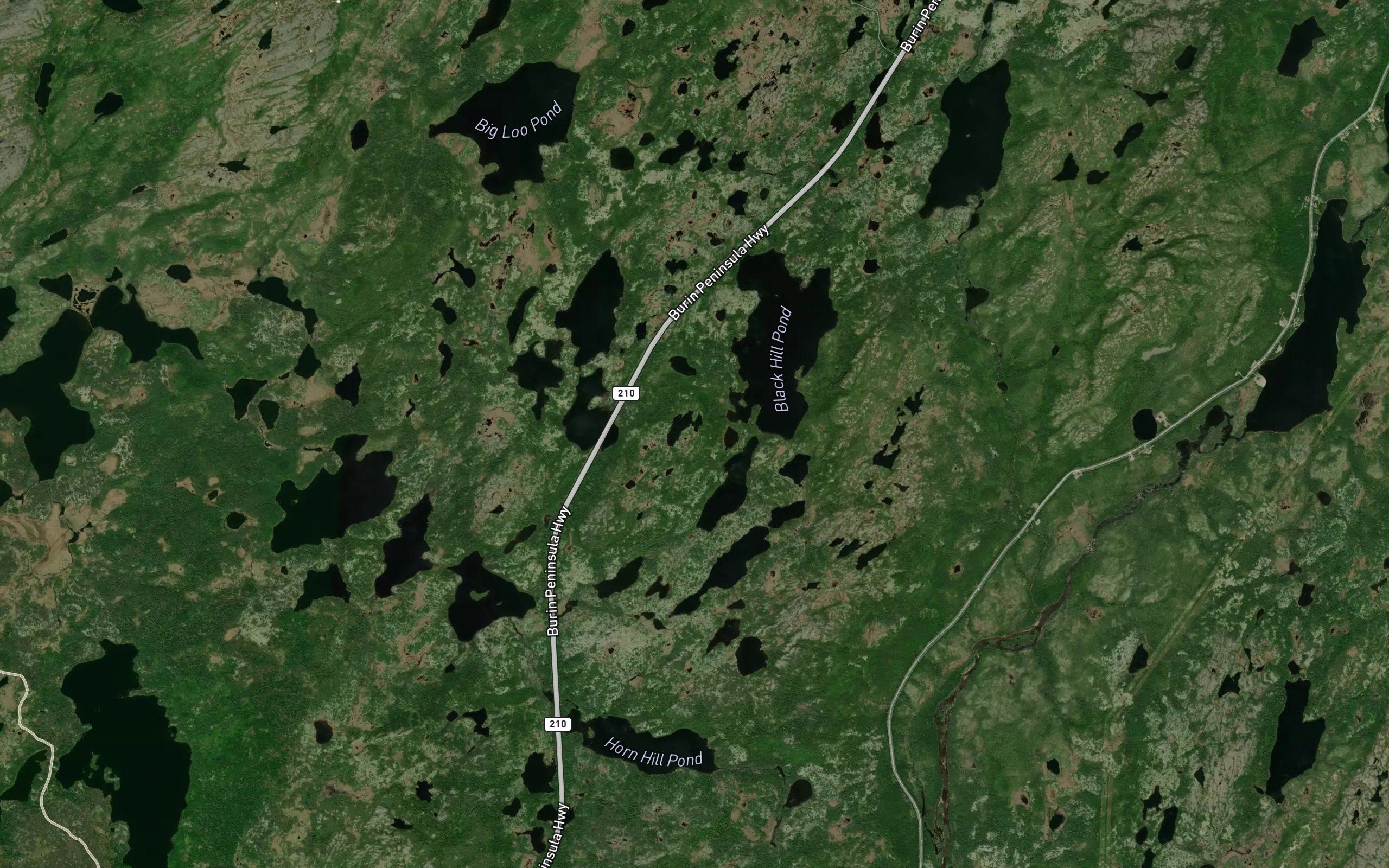 Black Hill Pond