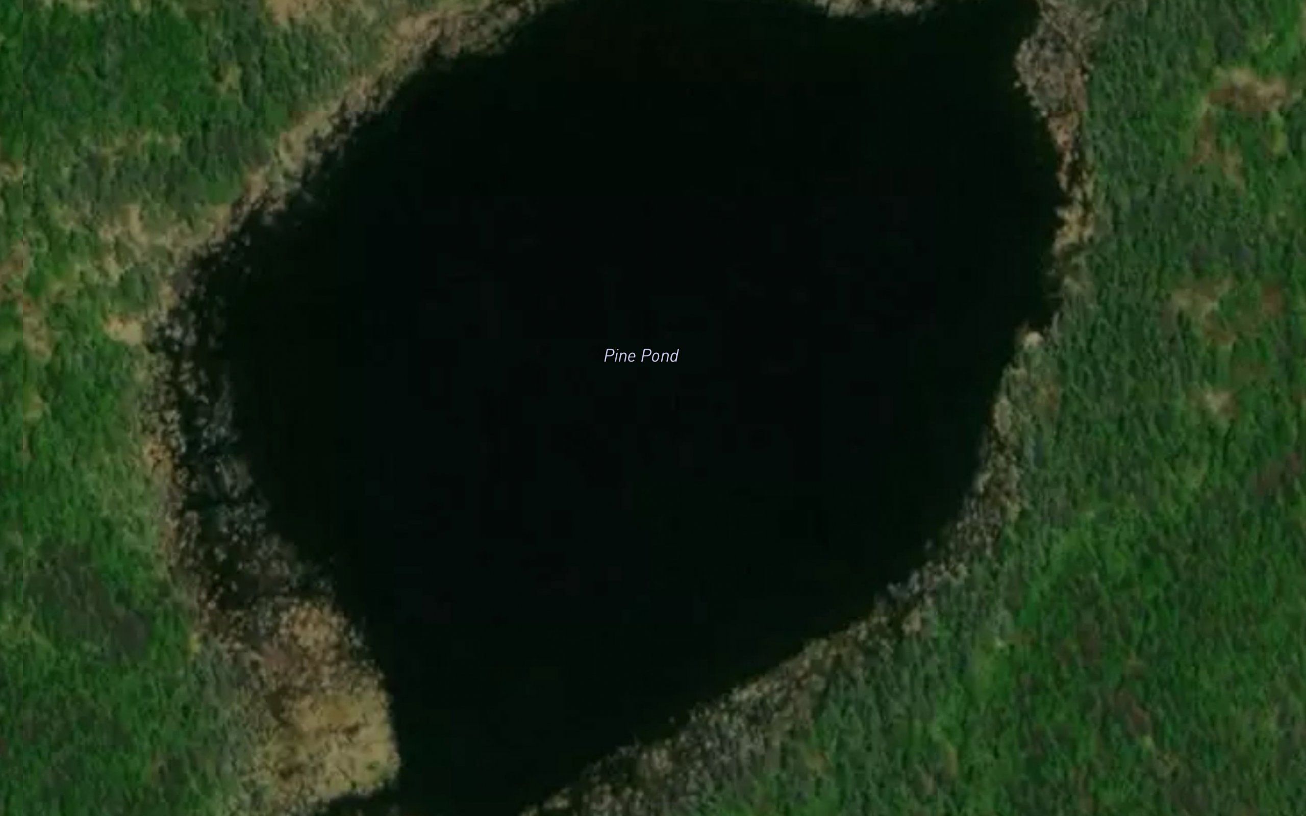 Pine Pond