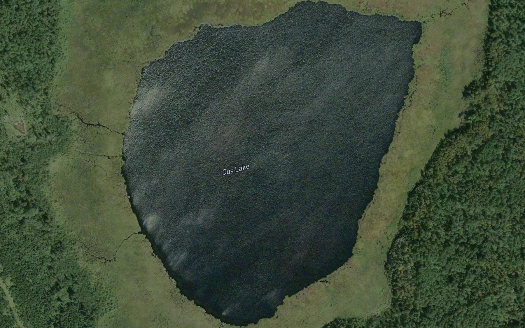 Satellite map of the Gus Lake