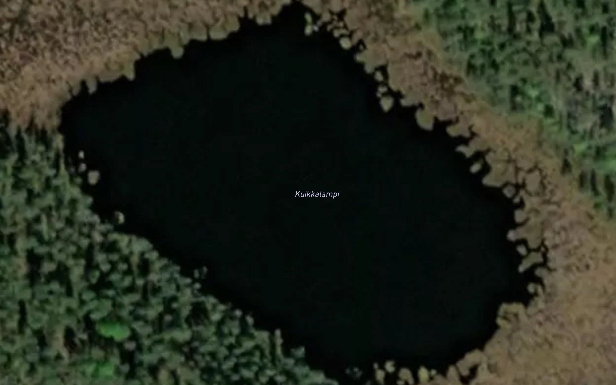 Kuikkalampi