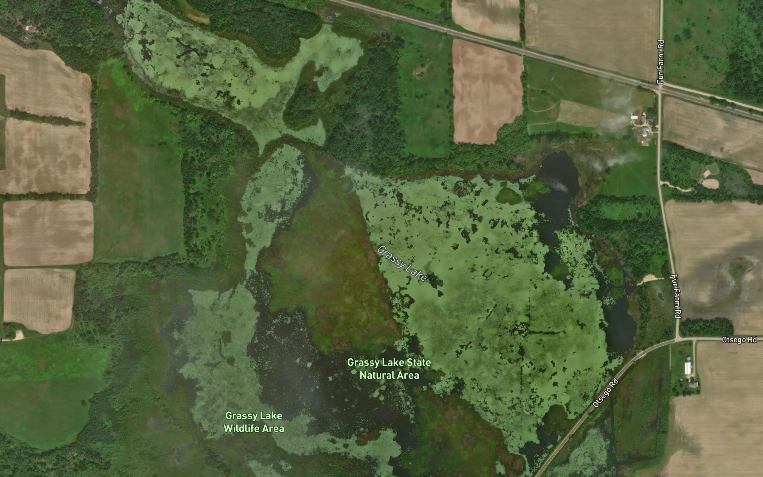 Grassy Lake