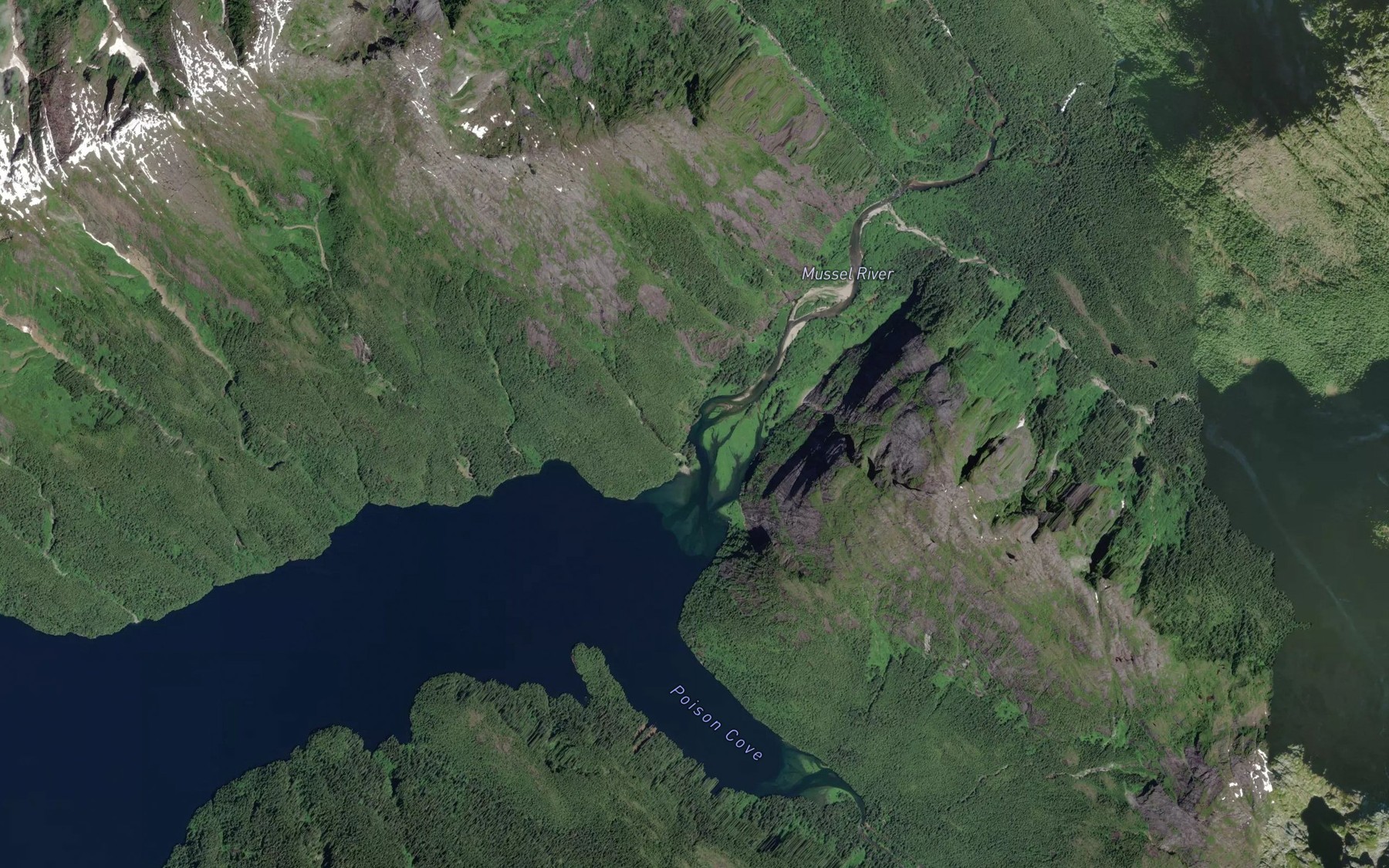 Satellite map of the Mussel River