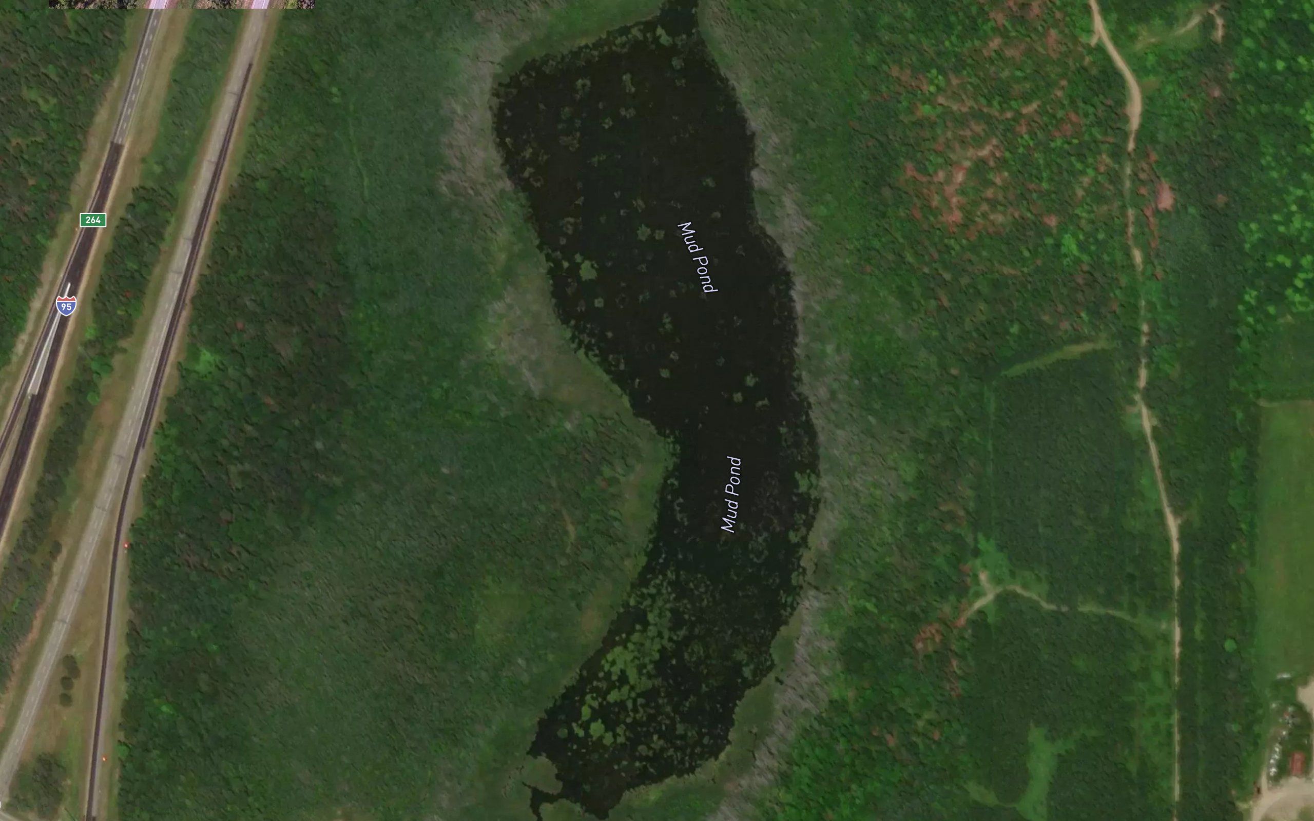 Mud Pond