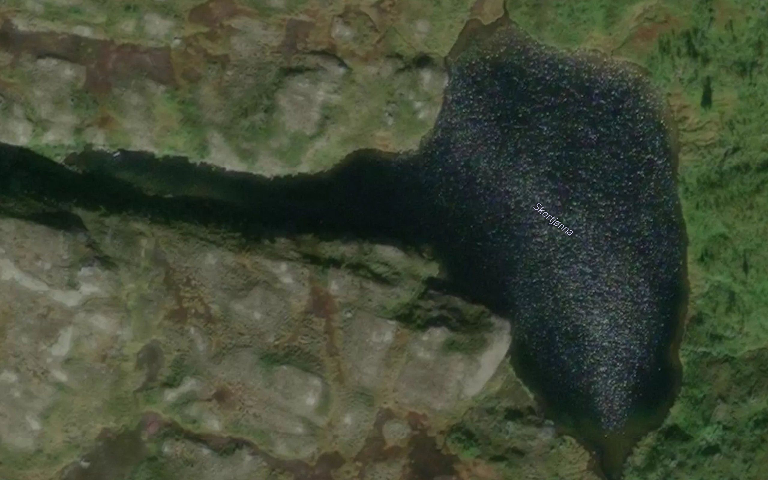 Skortjonna