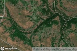 Sardine Spring