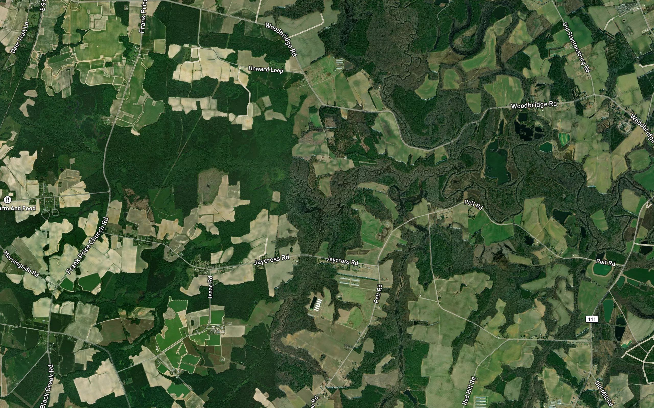 Aycock Swamp
