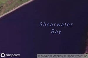 Shearwater Bay