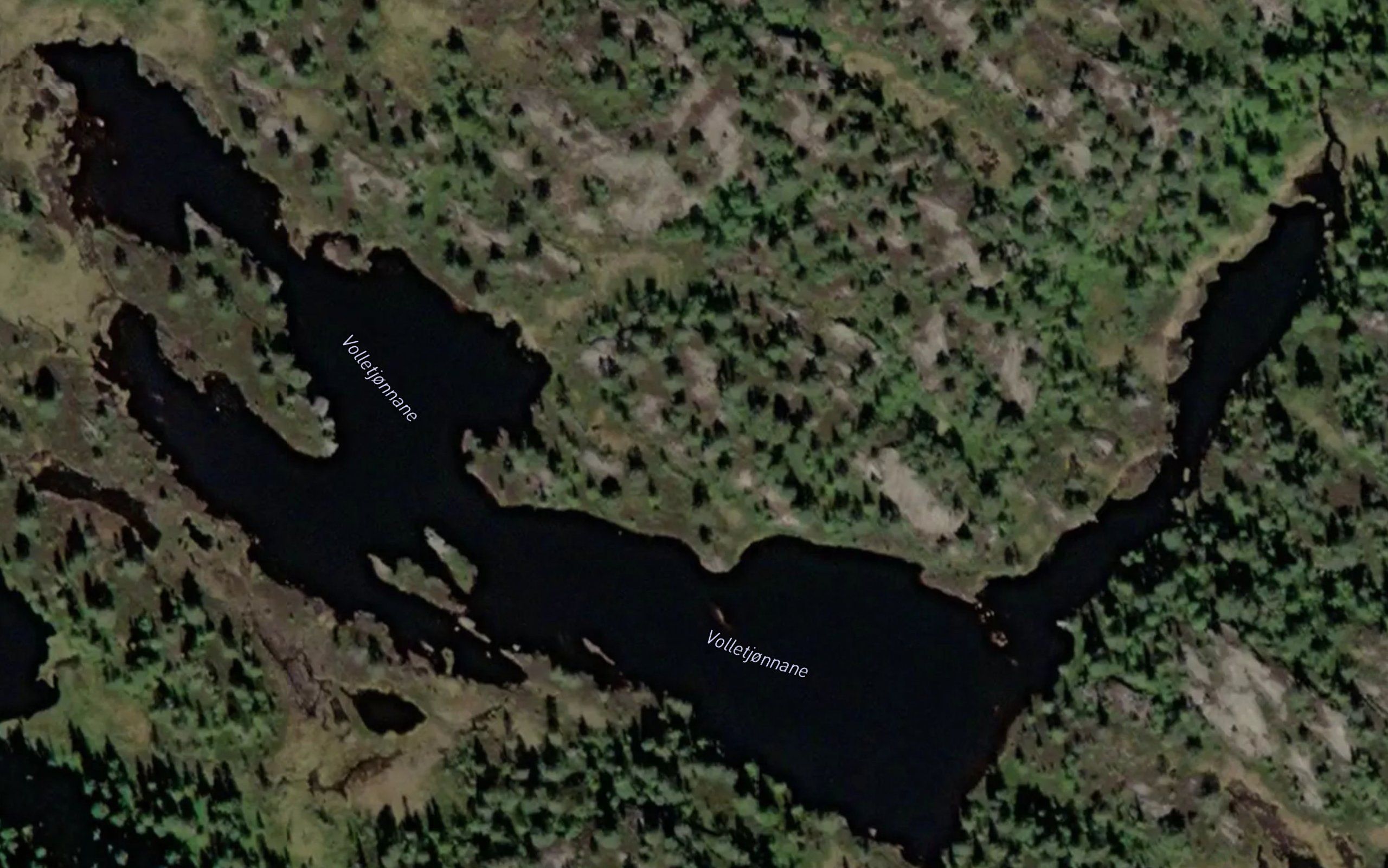 Voiletjonnene